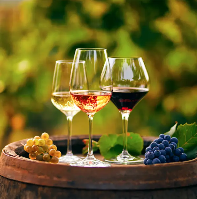 Saint-Vincent : célébrez la fête des vignerons avec de grands vins