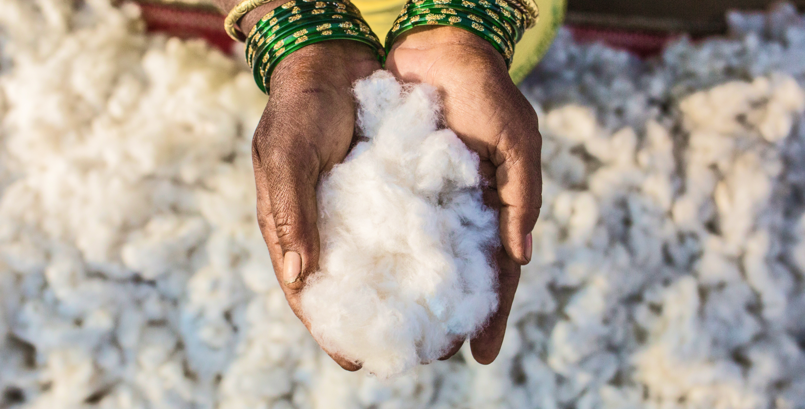 What Does It Mean When Organic Cotton Is 100% GOTS Certified