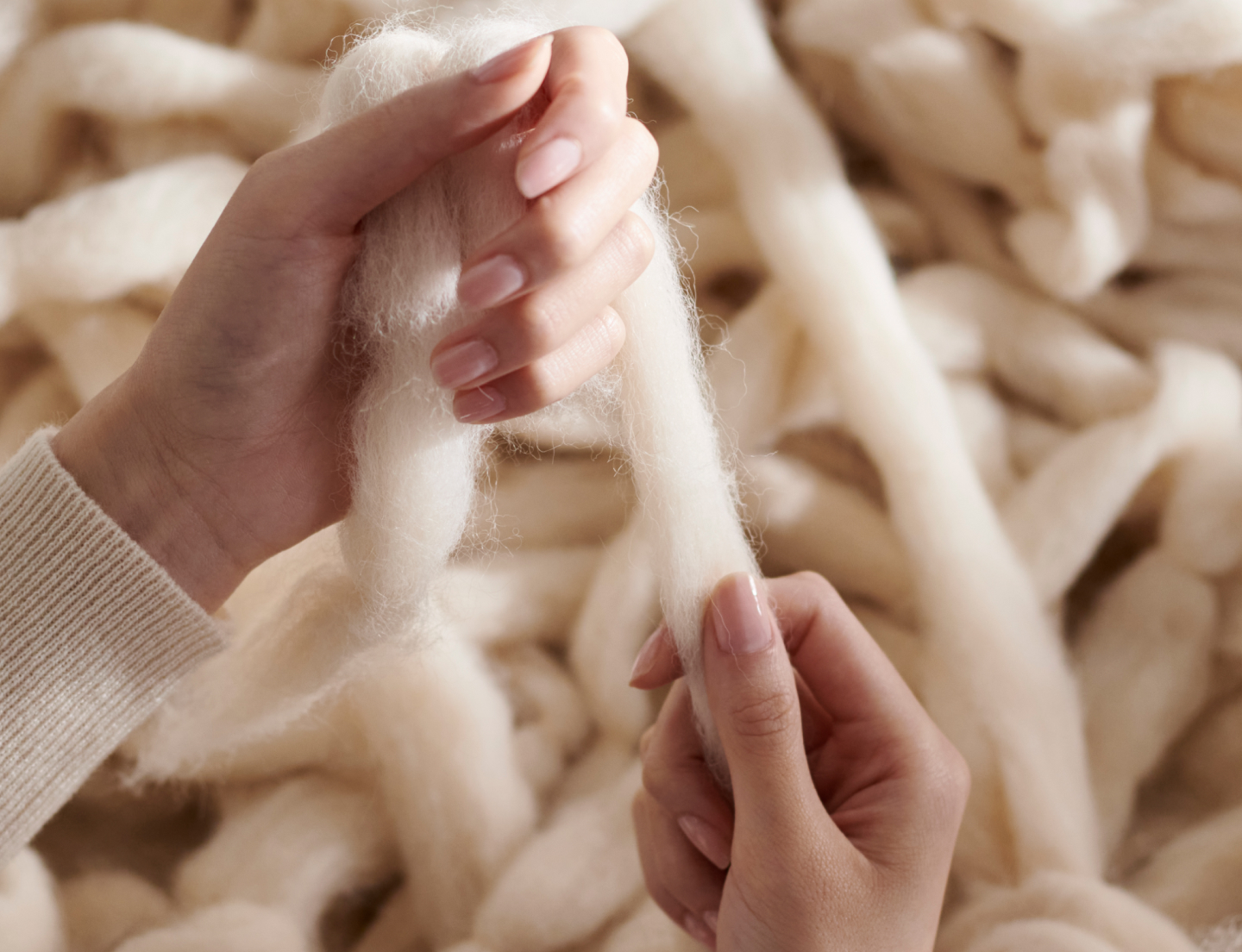 Alpaca wool