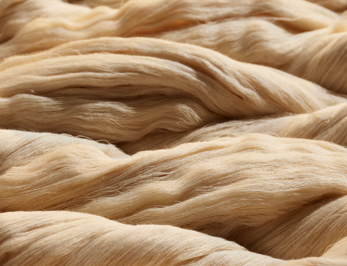 A detail close up of organic cotton yarns