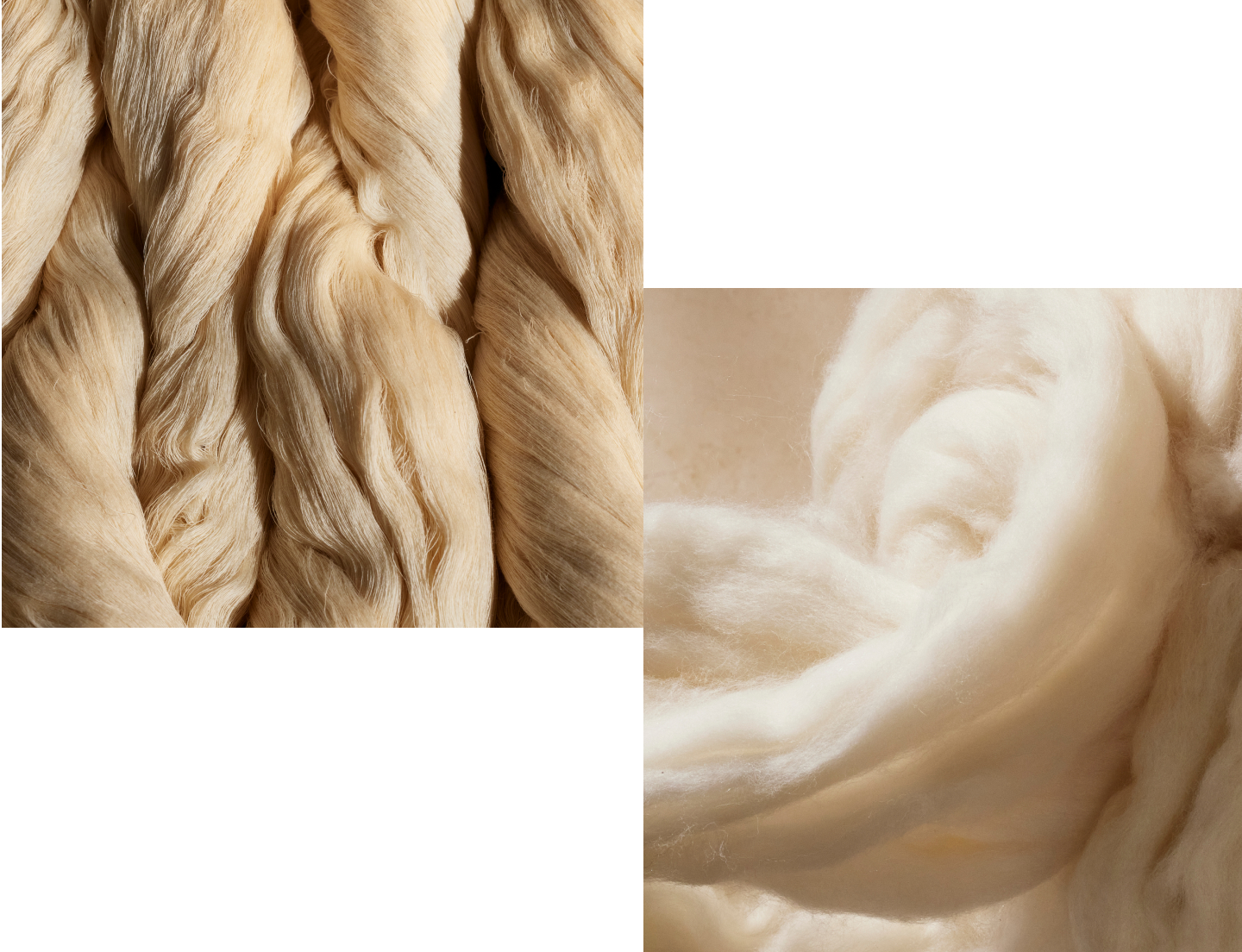 Detail close up photos of organic cotton