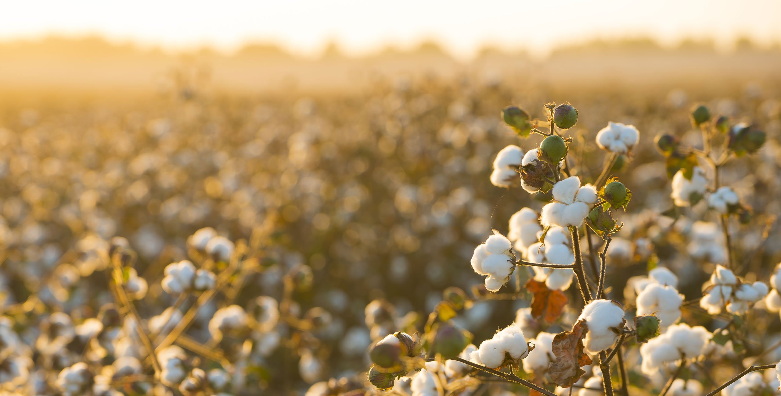 What is the Best Thread Count for High Quality Sheets