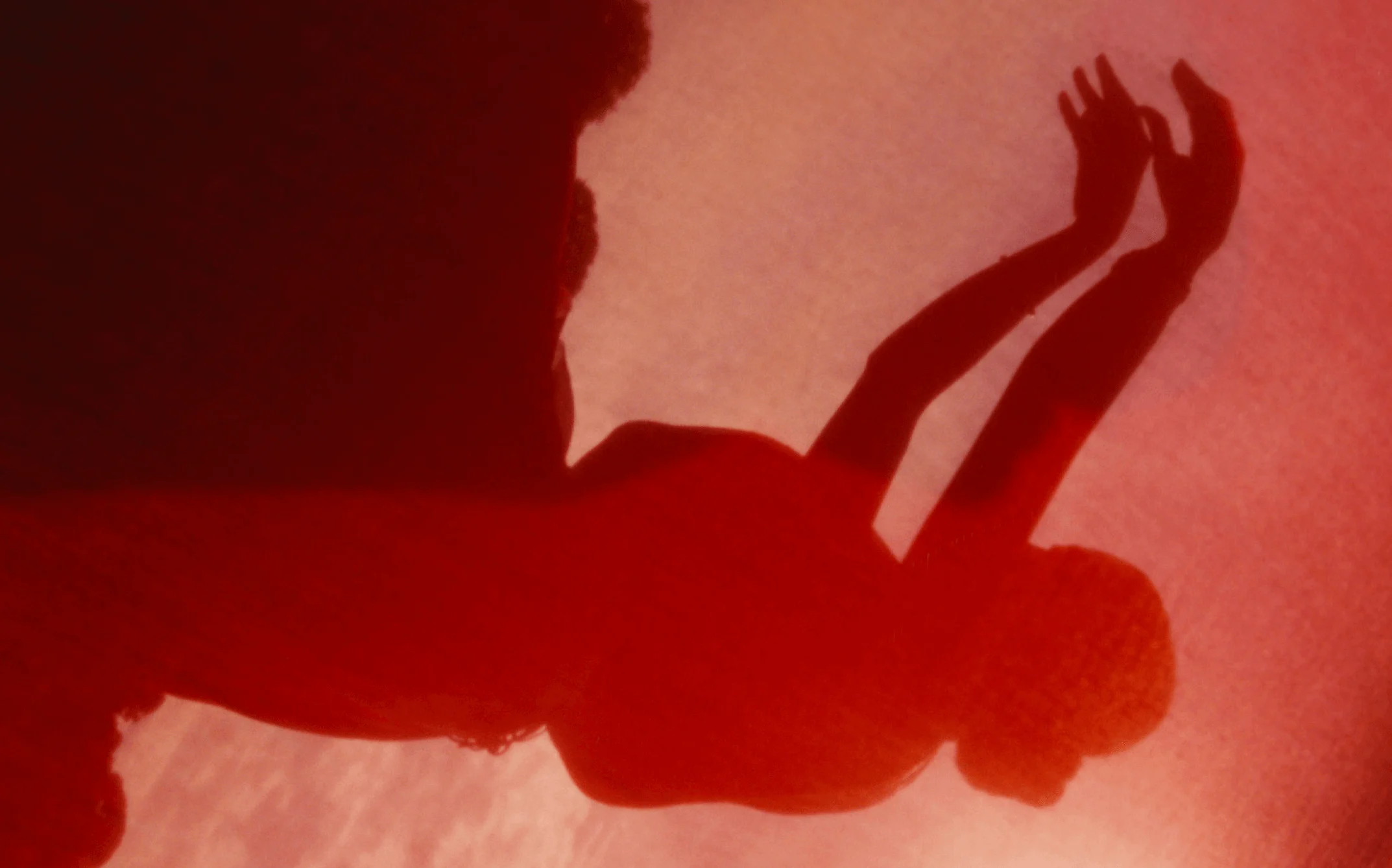 A photograph of Bharatanatyam dancer Rukmini Vijayakumar, her silhouette visible through a sheer red veil as she dances.