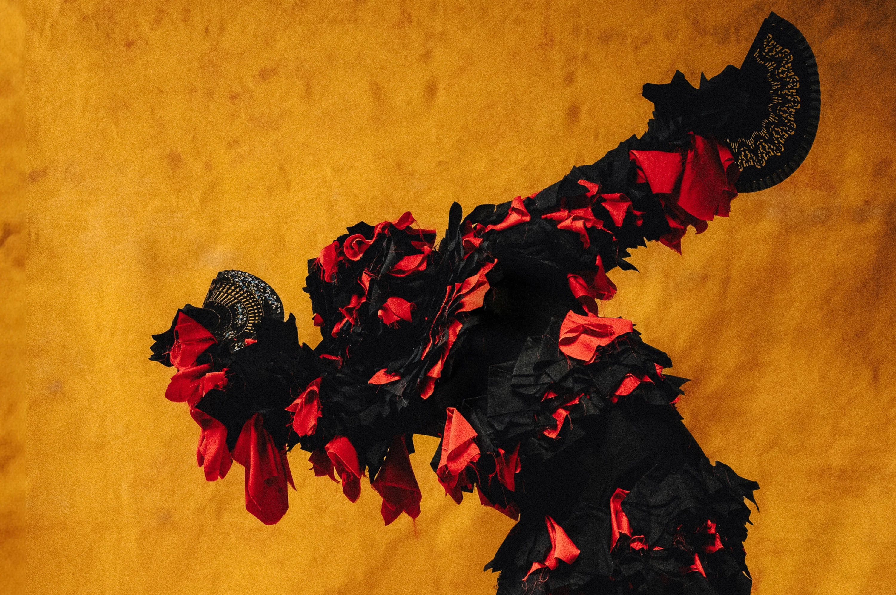 Cover Image - Victoria Ruiz