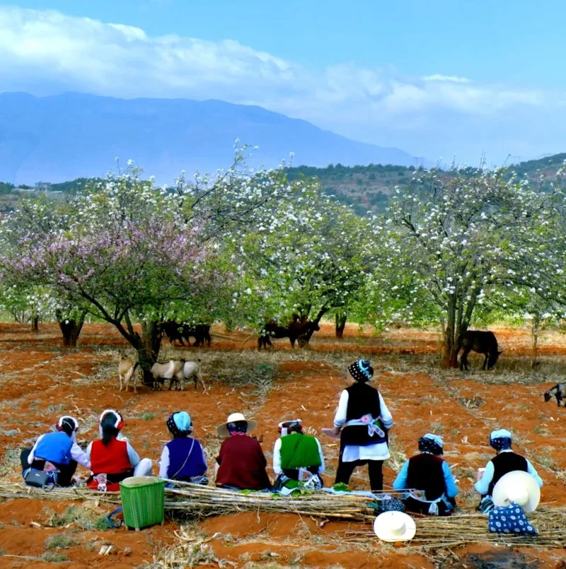 WePresent | Shen Jianhua