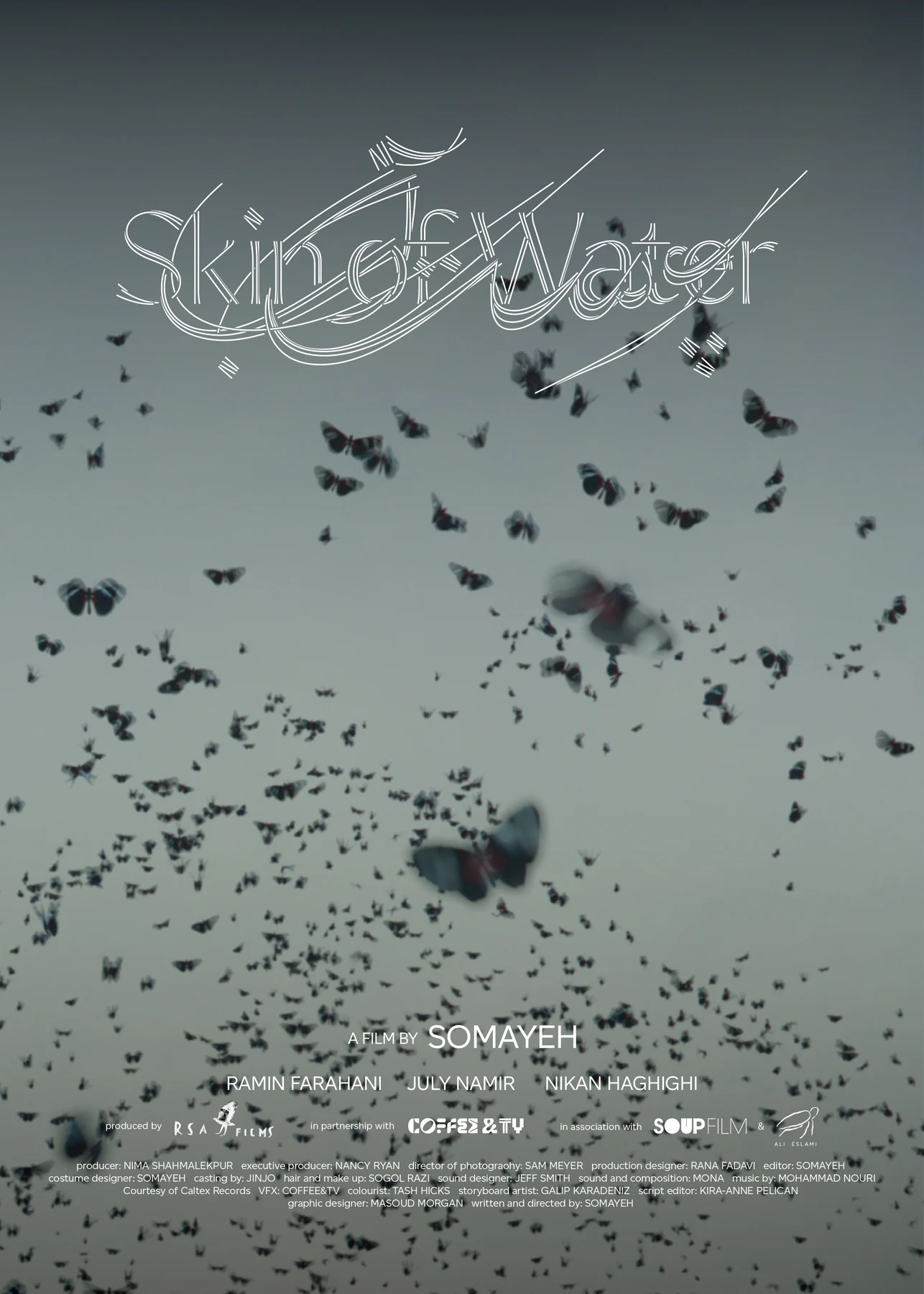 A poster for Somayeh's film “Skin of Water”, including an image of butterflies flying before a clear blue sky, the film's title overlaid.