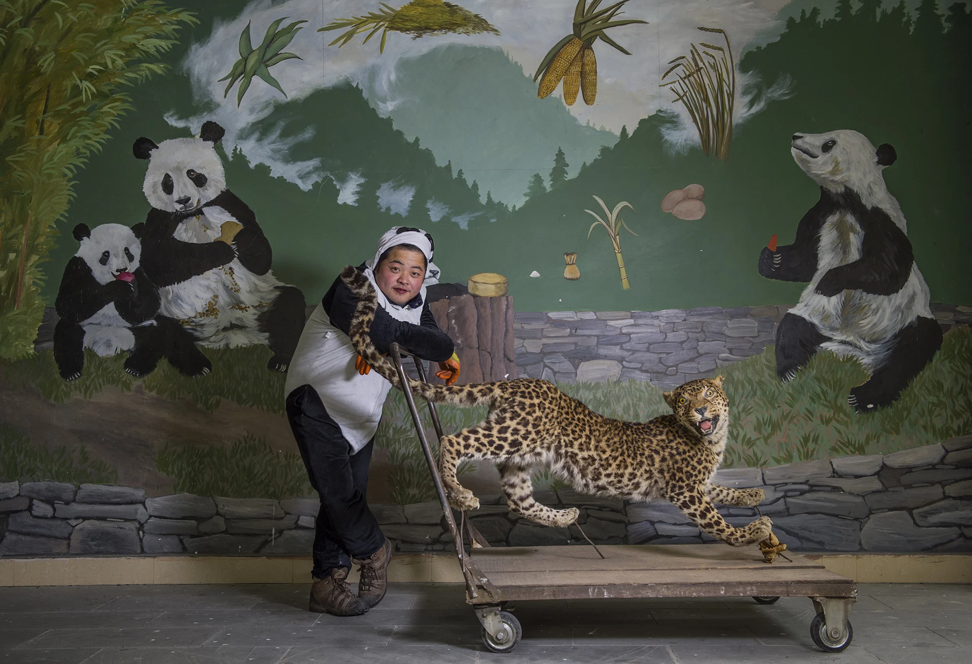 Gao Xiao Wen poses for portraits at the Wolong China Conservation and Research Center for the Giant Panda in Sichuan province, China.