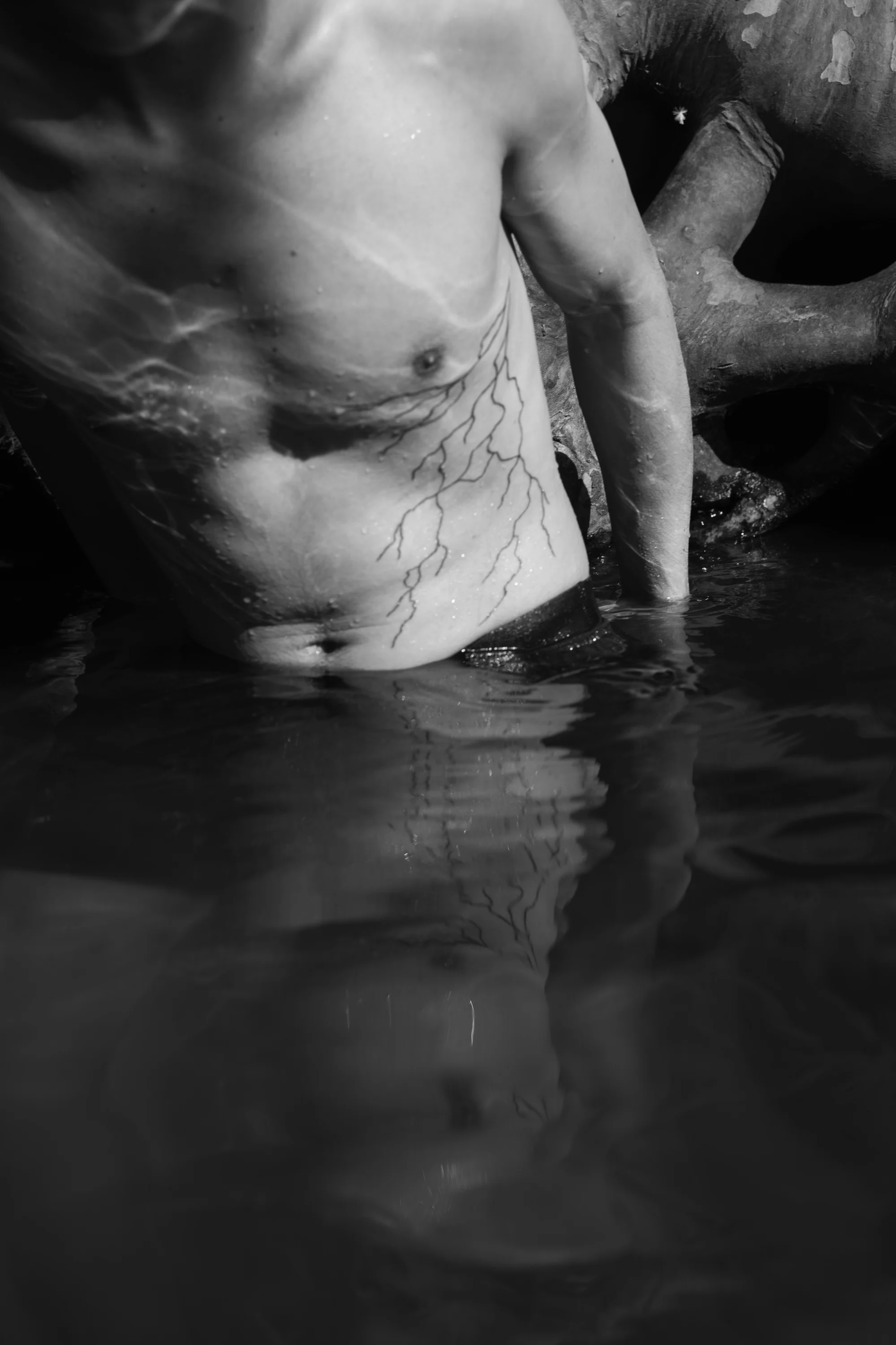 Boy with Roots Tattoo, with Roots (2025)