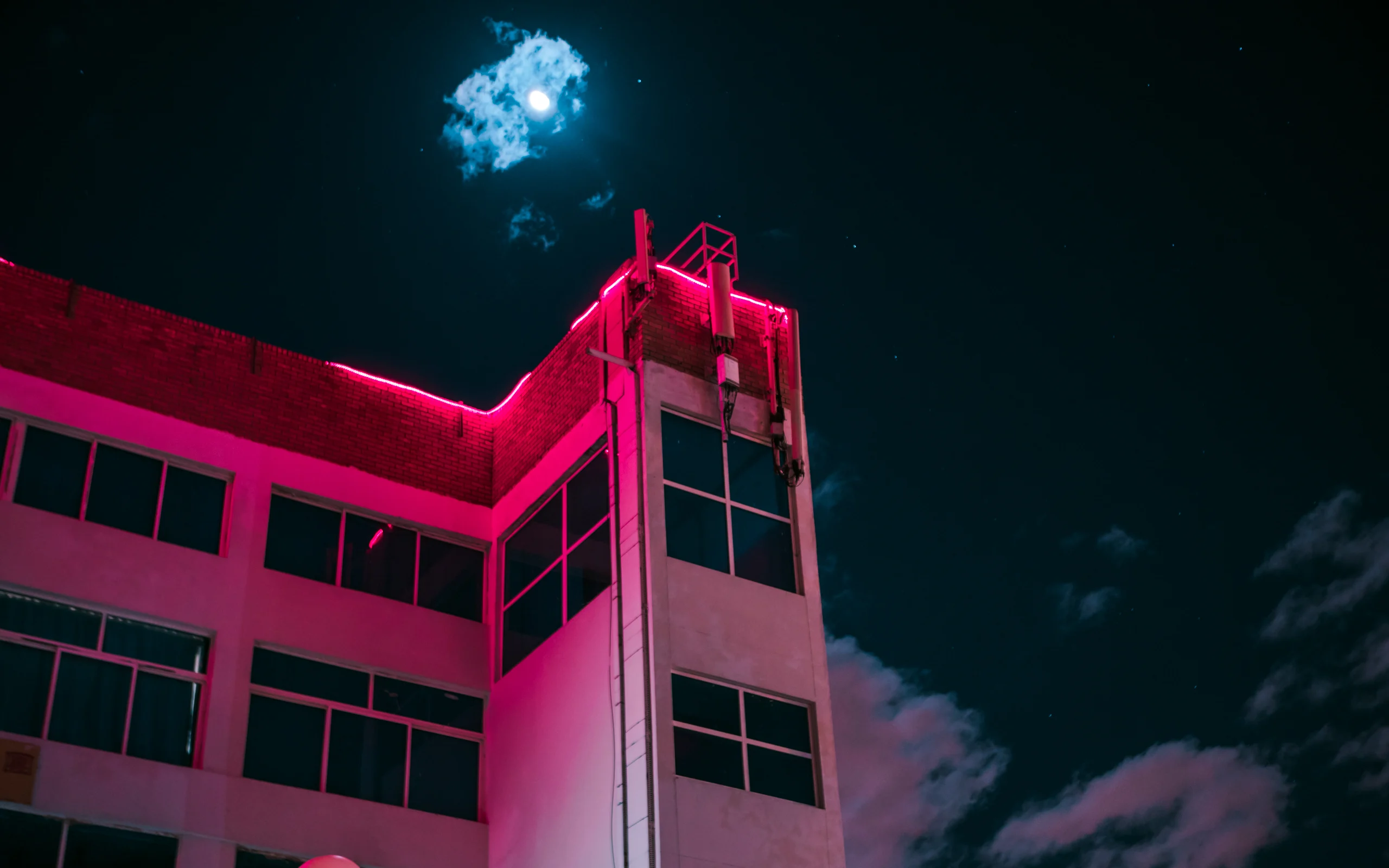 Cover Image - Elsa Bleda