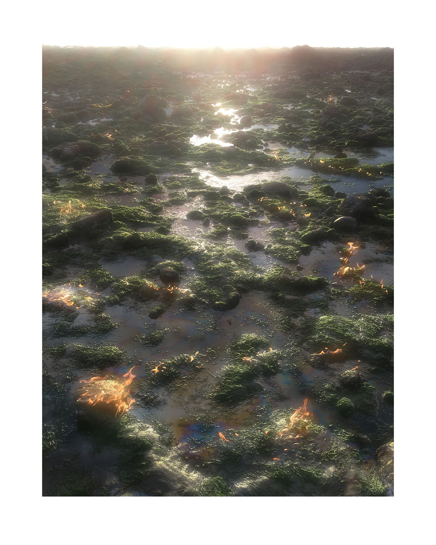 A photo of a landscape covered in rocks, moss, crude oil in water, and small patches of fires. At the top of the image, a sliver of the horizon is visible and warmly overexposed.