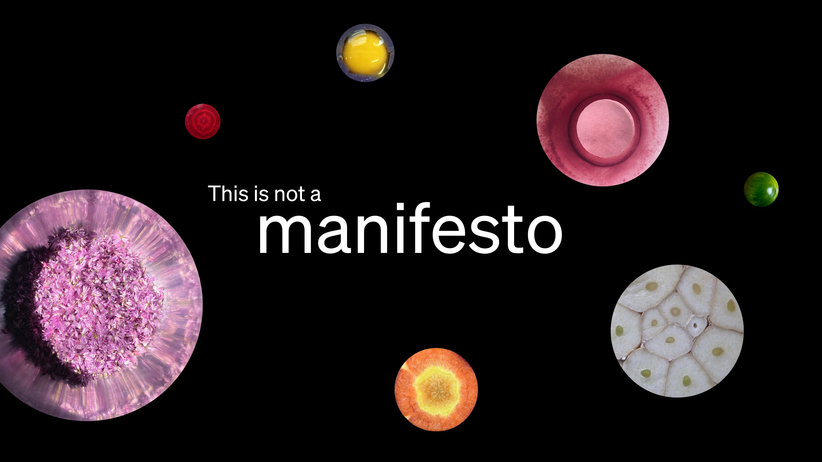 Cover Image - A Manifesto by Studio Olafur Eliasson Kitchen