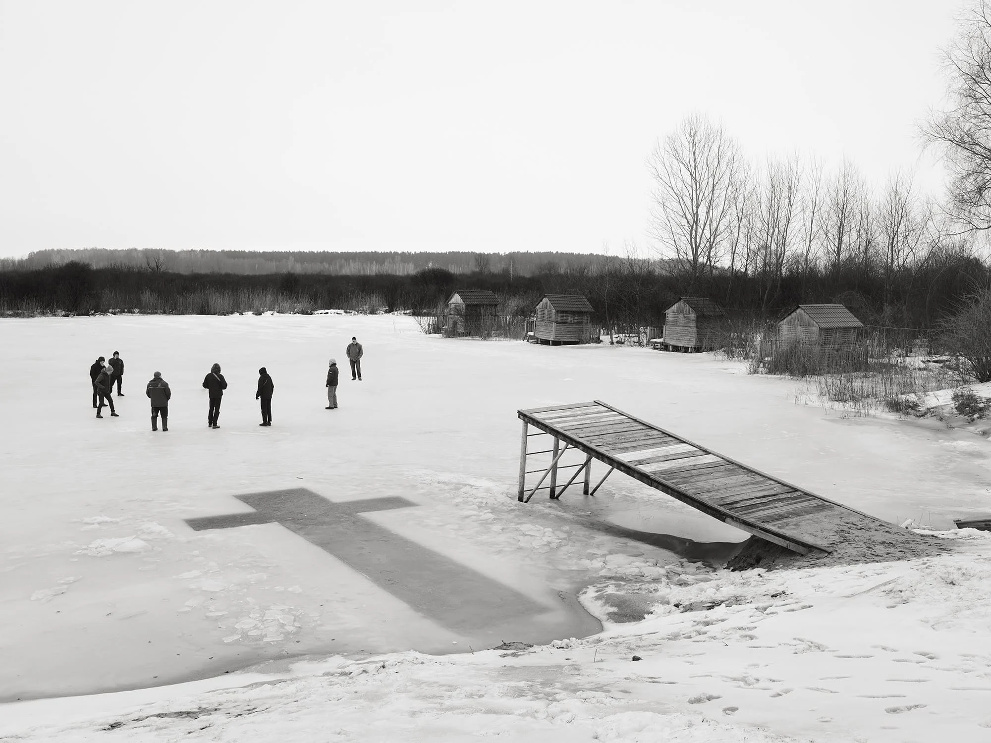 Cover Image - Aria Shahrokhshahi