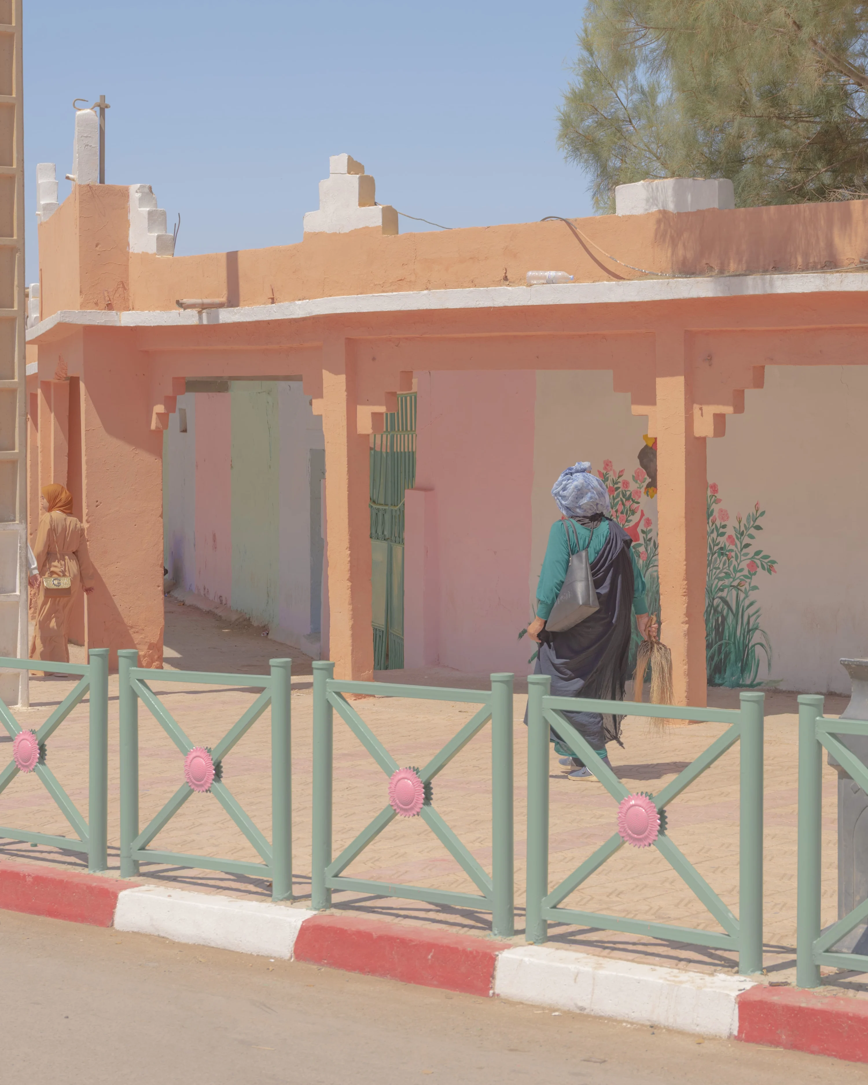 Rosa x damascena, Tinghir Province, Morocco (2023)