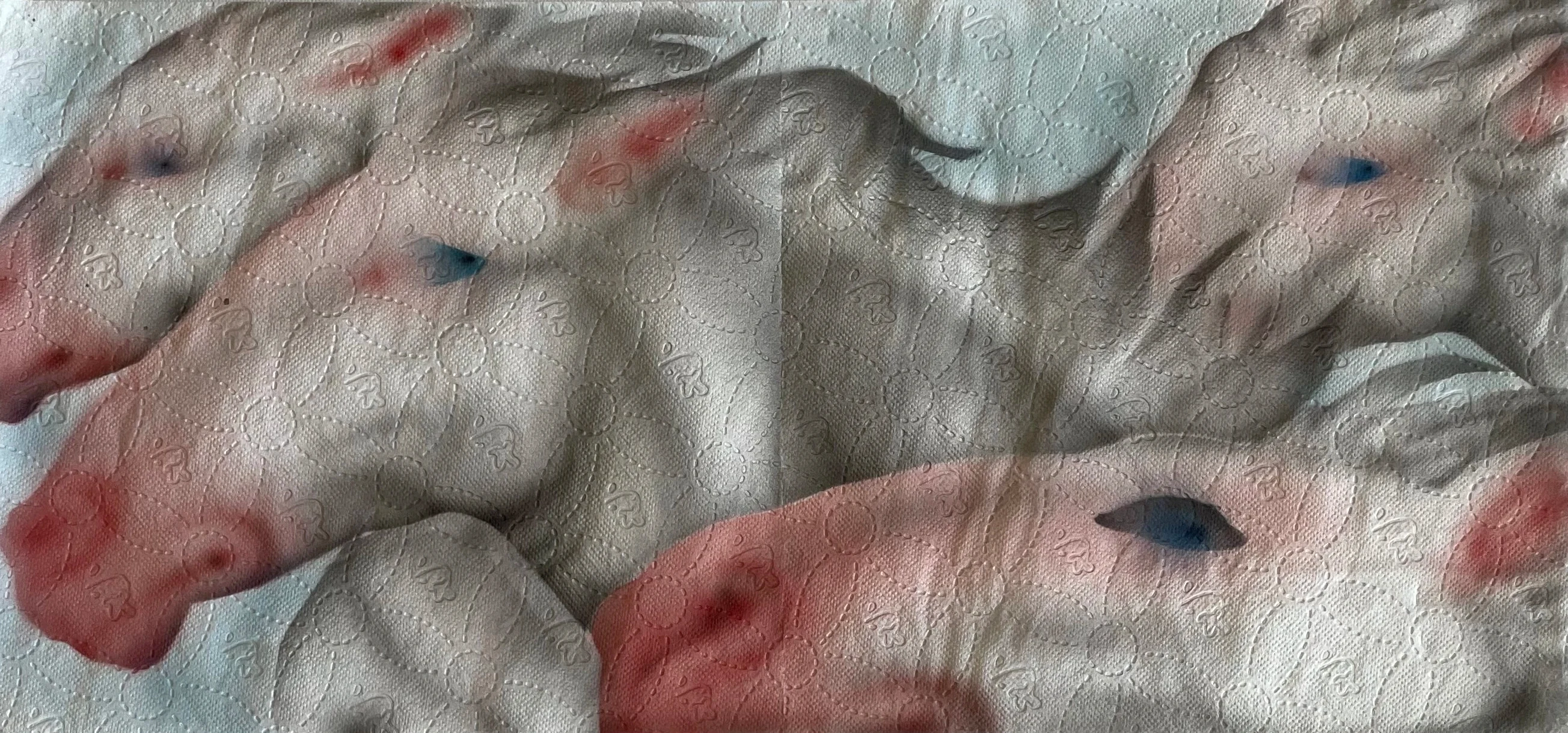 Cover Image - Helena Minginowicz