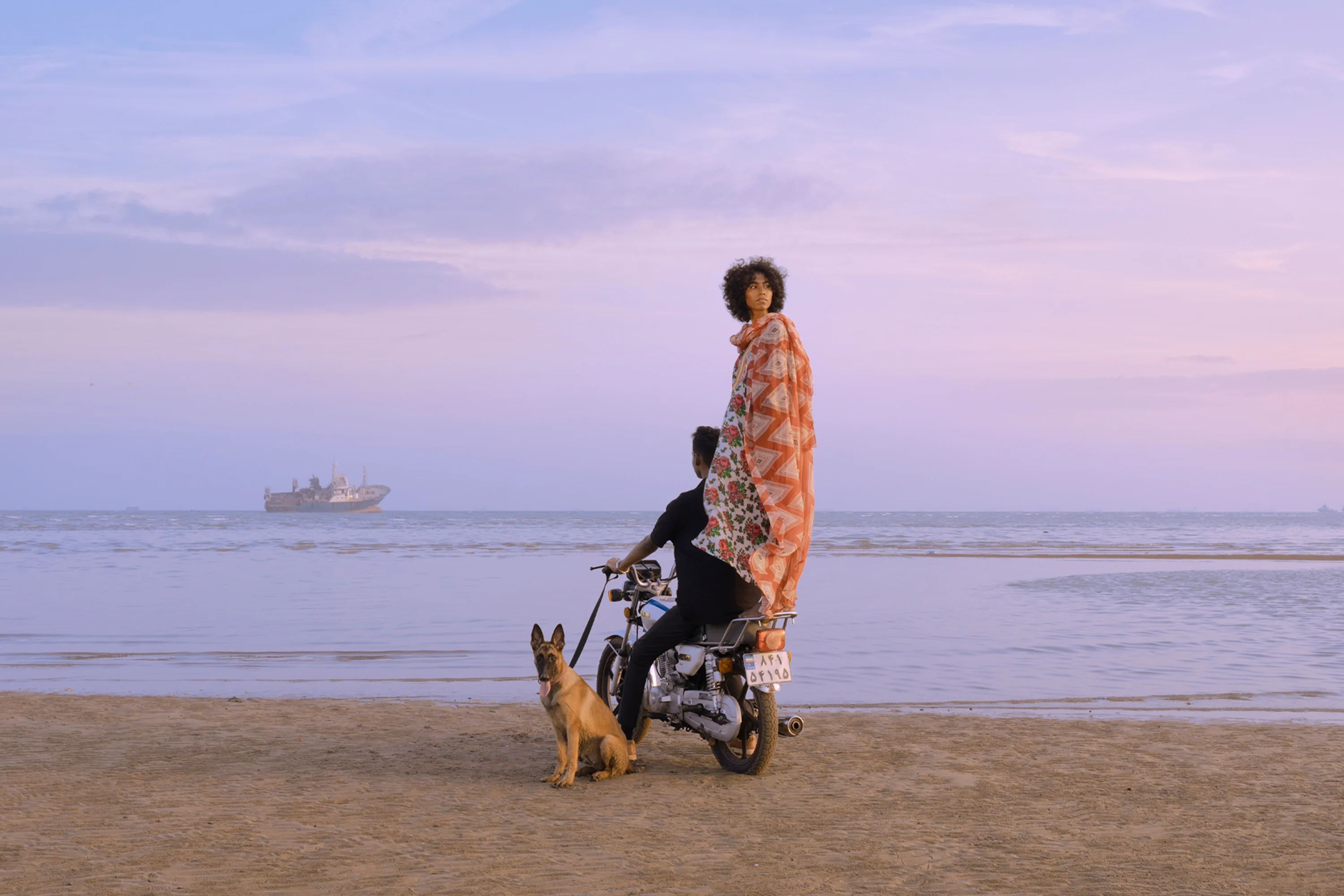 Cover Image - Morteza Niknahad