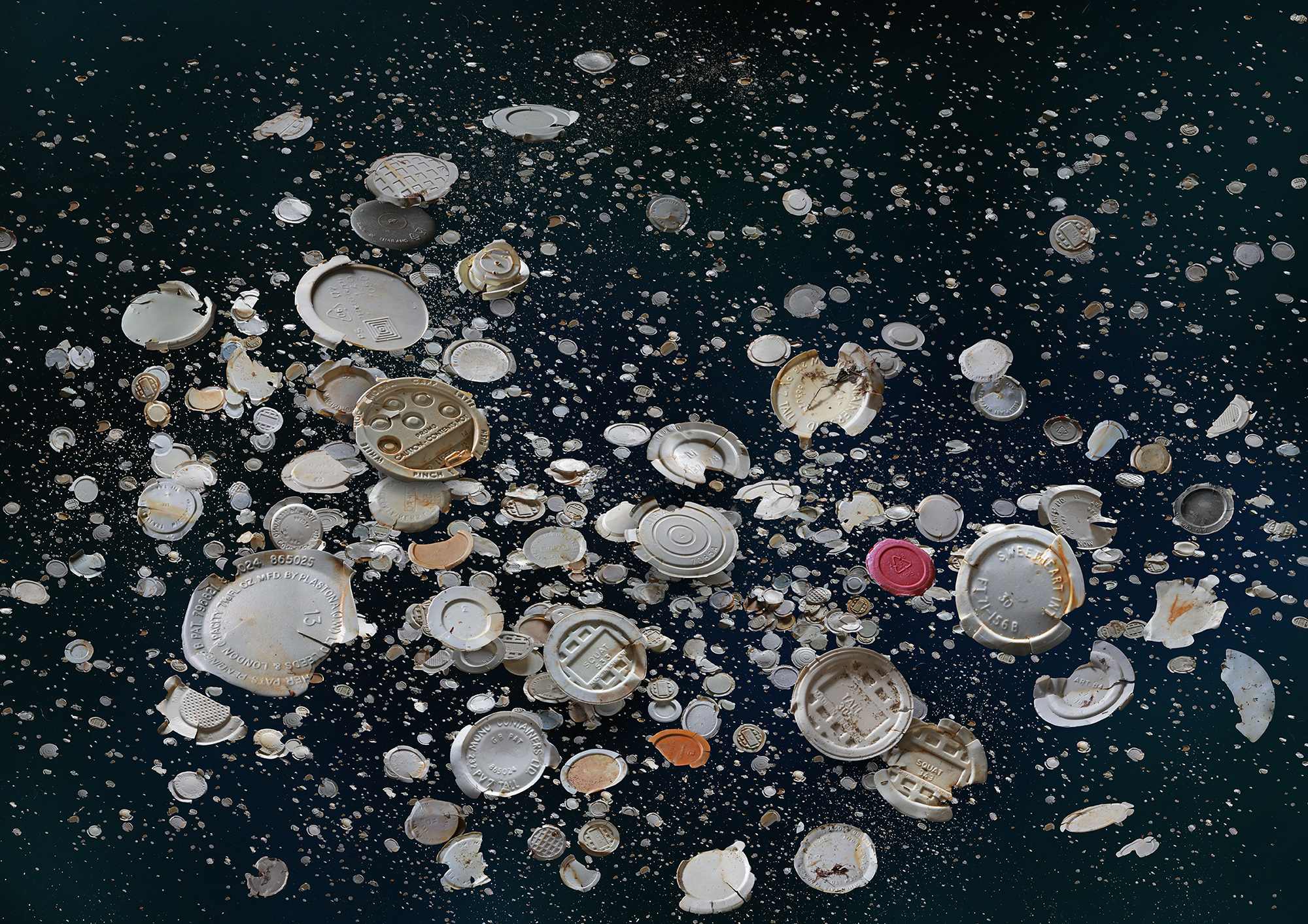 WePresent Mandy Barker photographs the earth s dying oceans