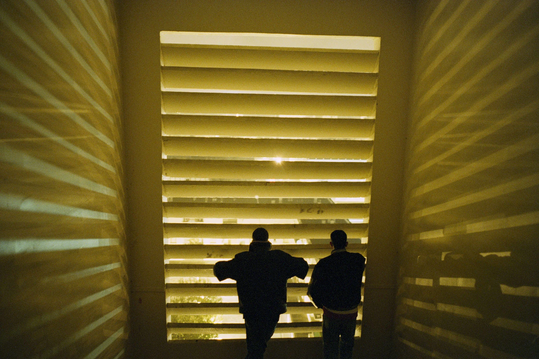 A photo of two young men peering through a slatted wall, taken from the inside. Sunlight pours into the building creating a beautiful yellow light.
