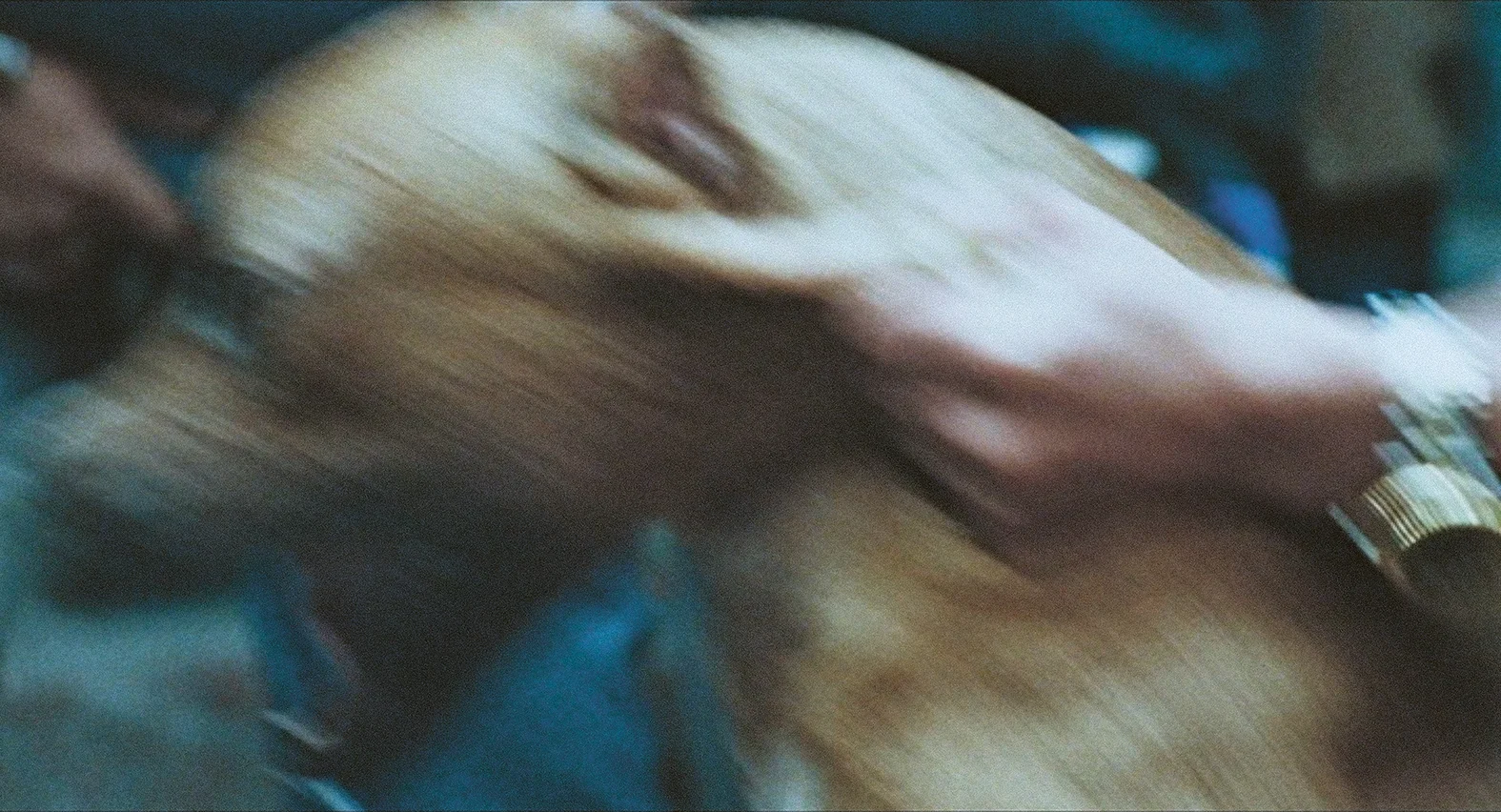 Alta Vista Films, from Amores Perros (MACK, 2025). Courtesy of Alta Vista Films and MACK.