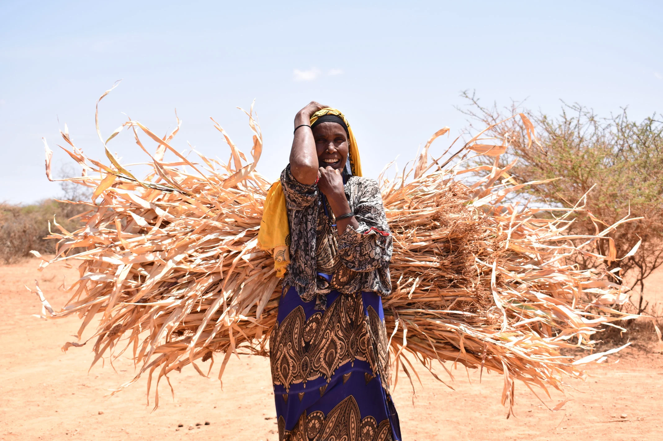 A woman carries hay on her back in the Hudur district of Somalia