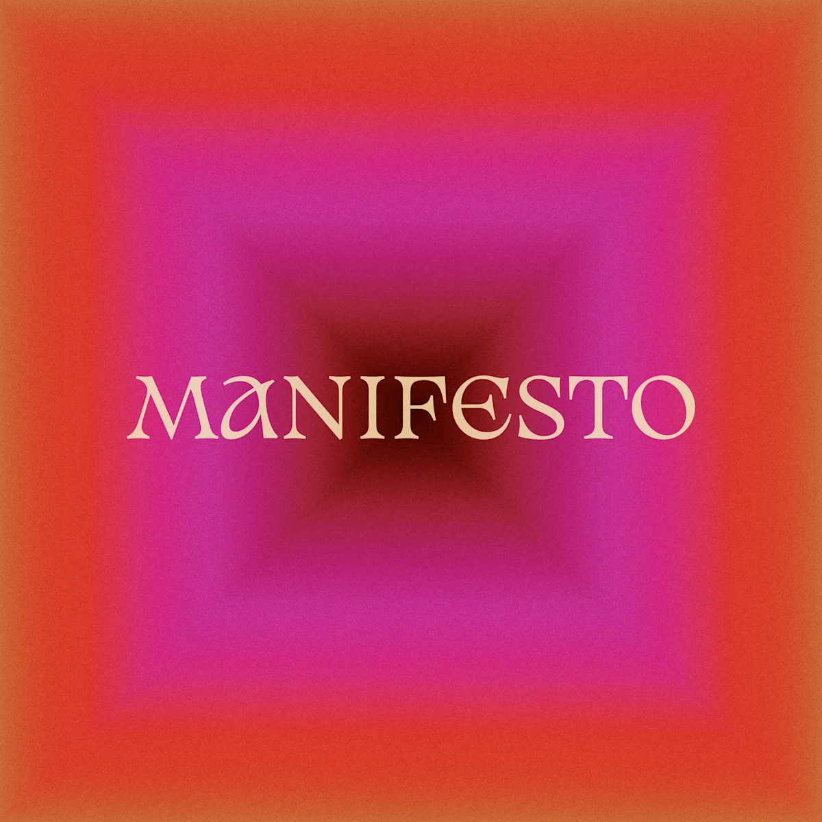 wepresent-a-manifesto-by-the-raincoats