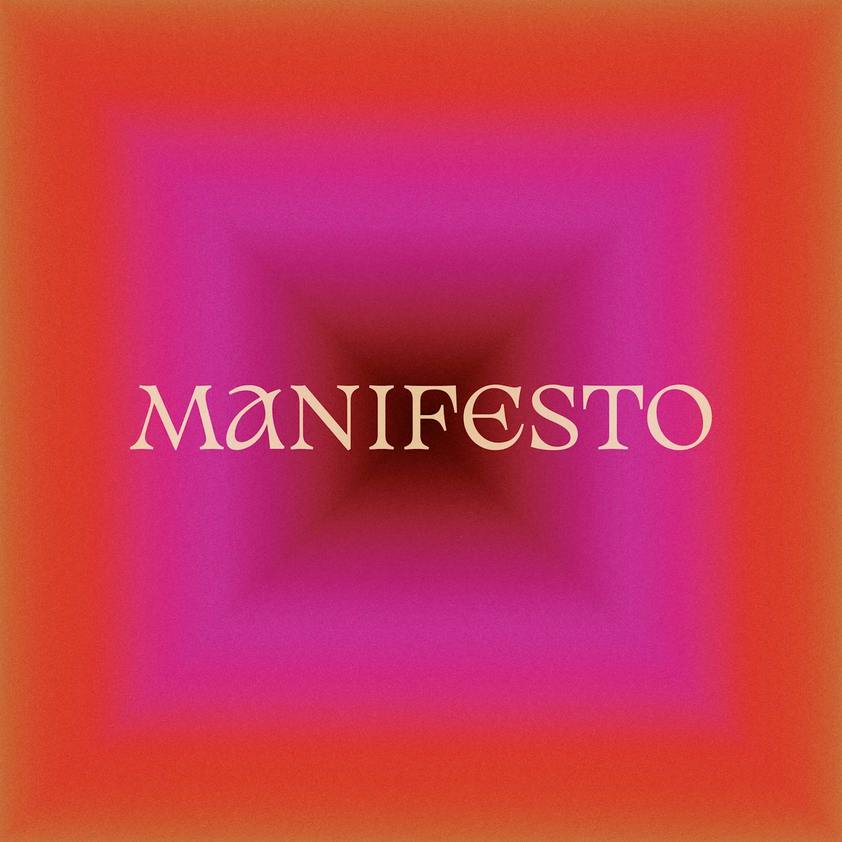 wepresent-a-manifesto-by-the-raincoats