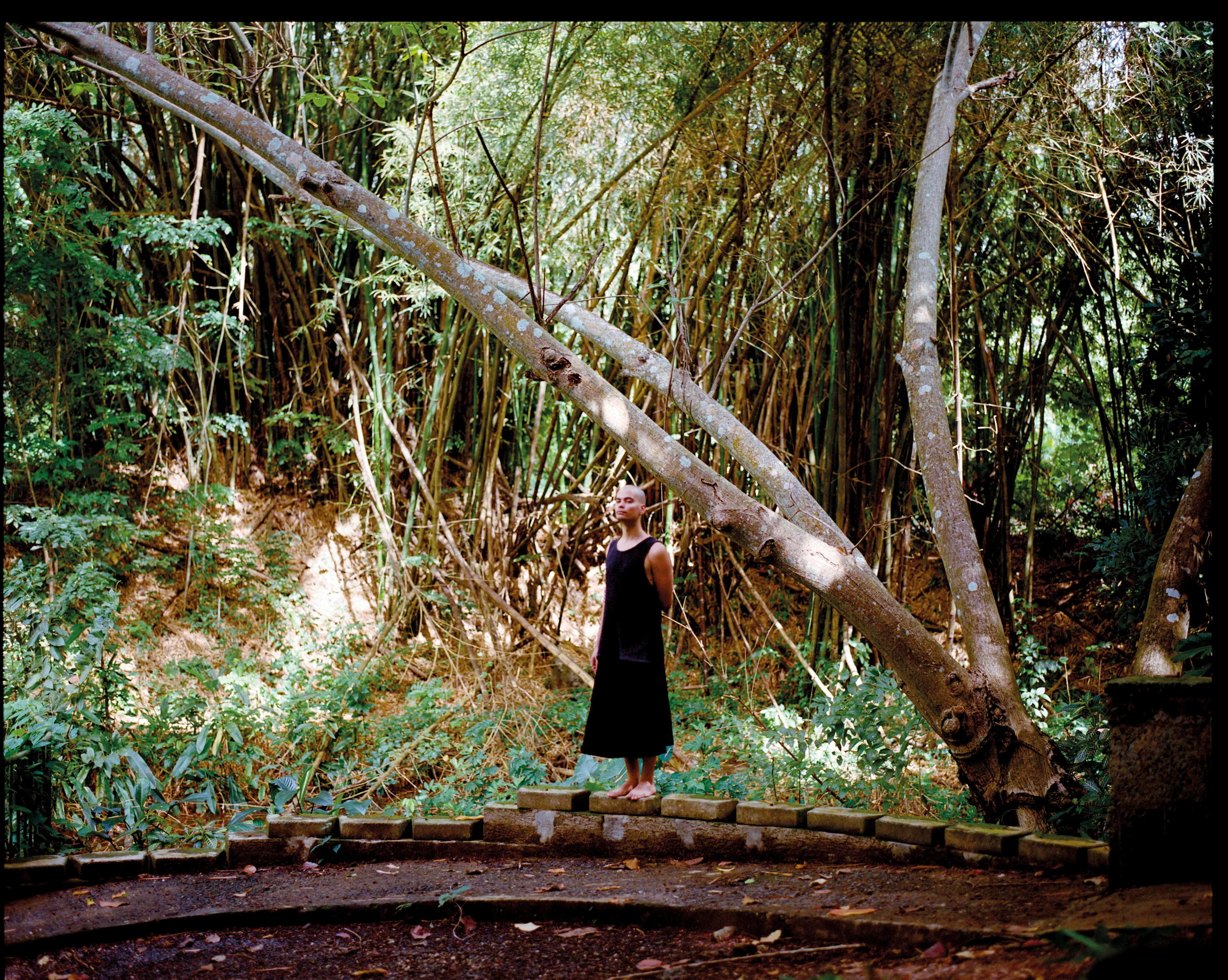 Cover Image - Elianel Clinton