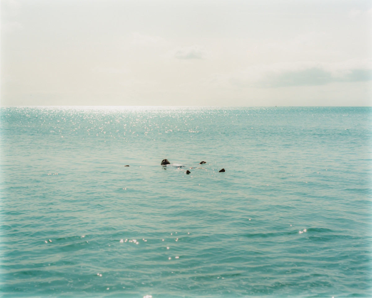 Wepresent Thomas Ralph