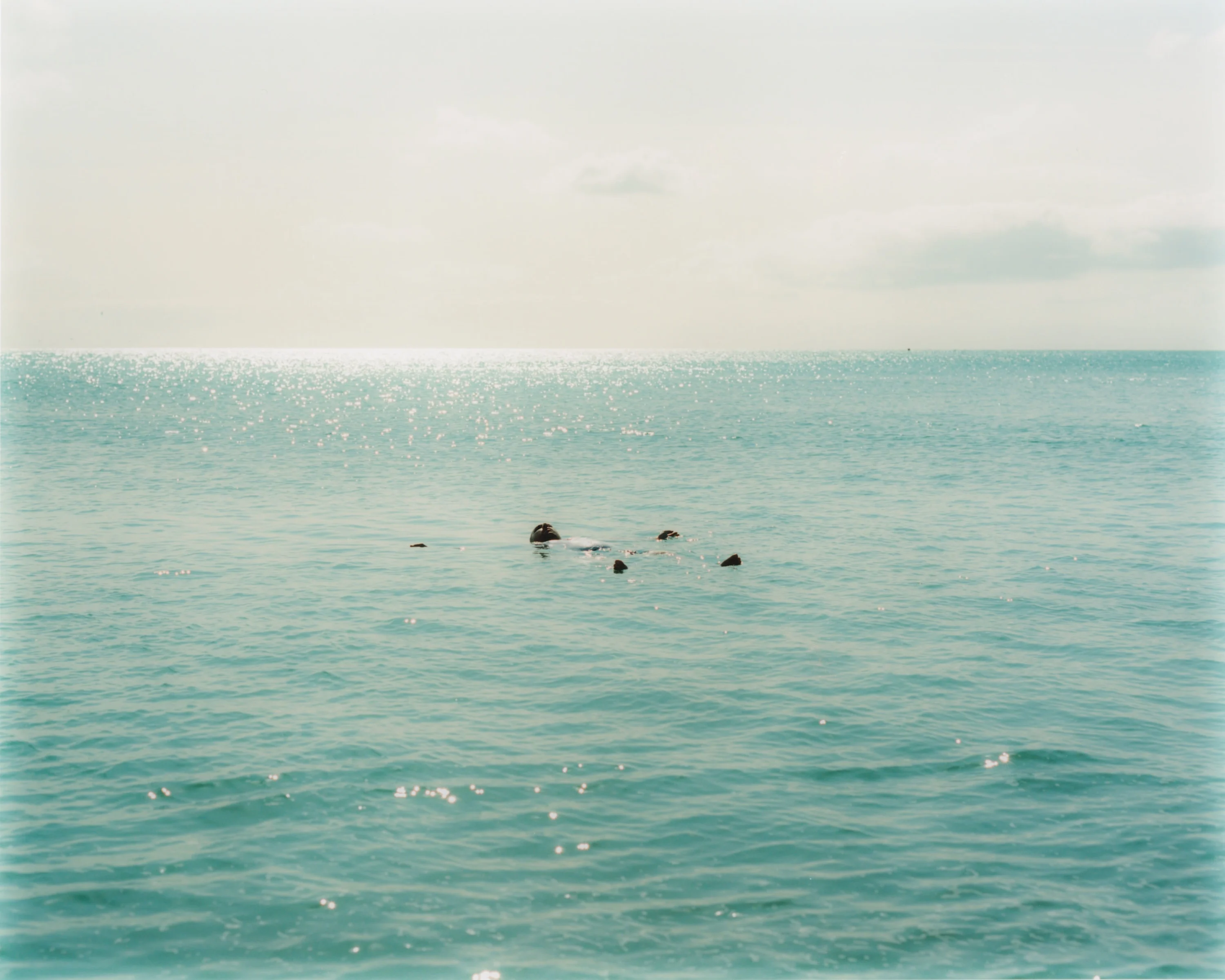 Thomas Ralph