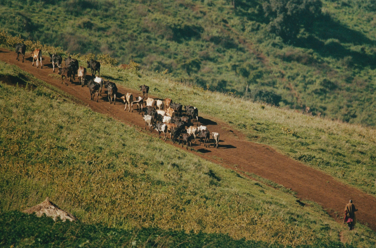 Capturing the deep bond between Tanzania’s tribes and their land