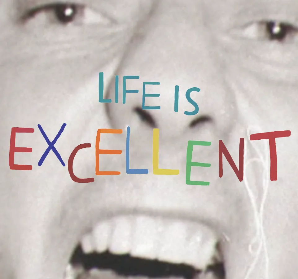 Life is Excellent – Screening