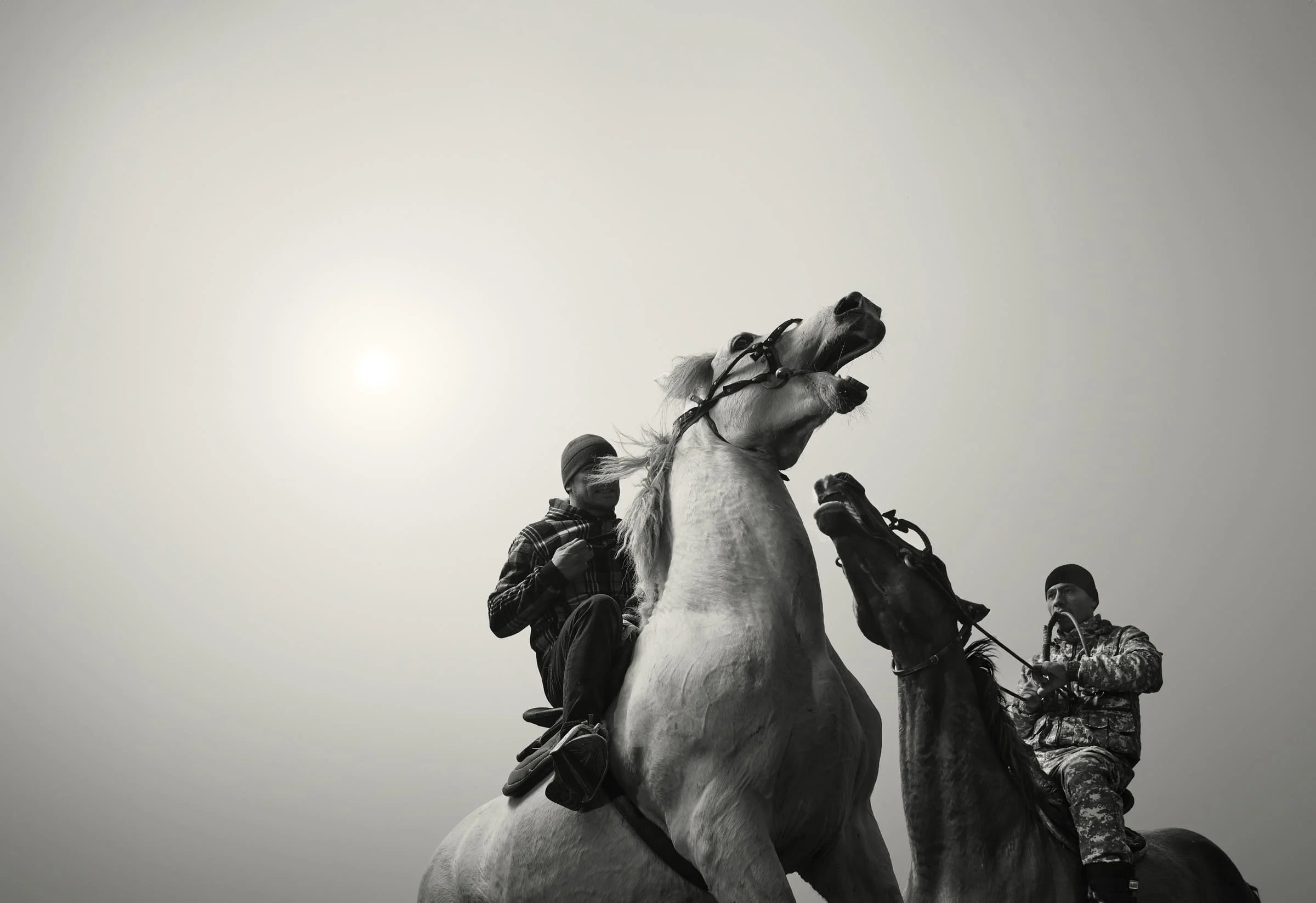 Cover Image - Todd Antony