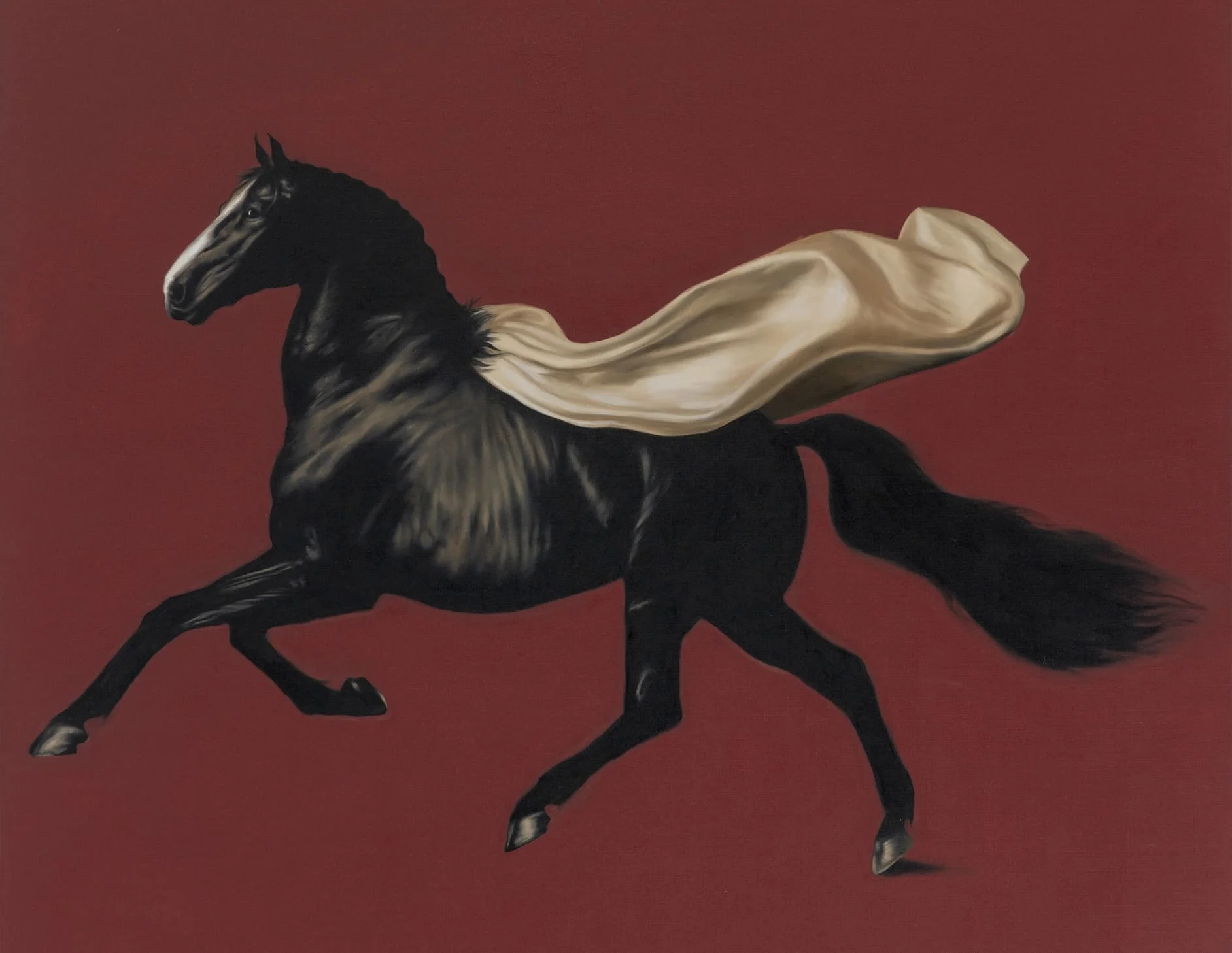 Cover Image - Gustavo Nazareno