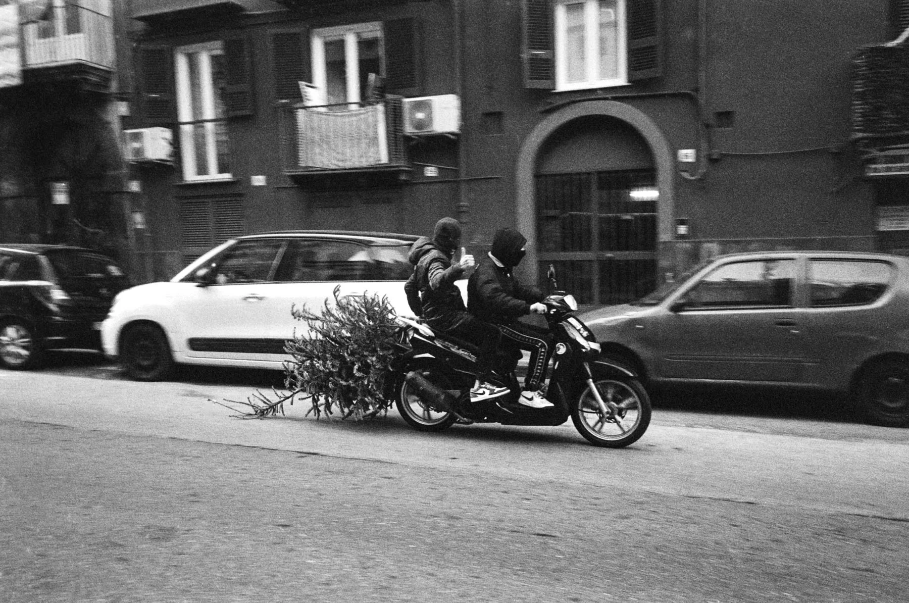 A black-and-white photograph of two boys riding a moped around the streets of Naples, dragging an old christmas tree behind them.