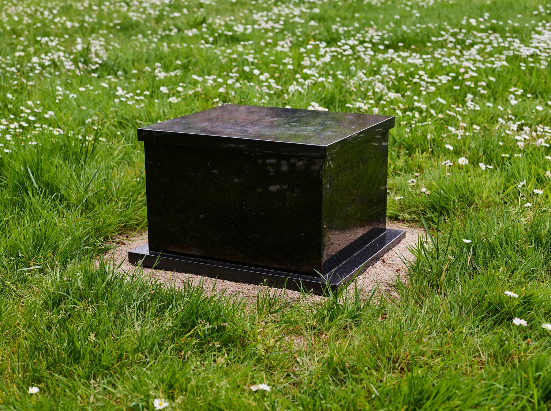 Bee Memorial, 80 million years to 21st Century 2018, Black Granite. Installation at Osher Sculpture Garden at the de Young Museum San Francisco