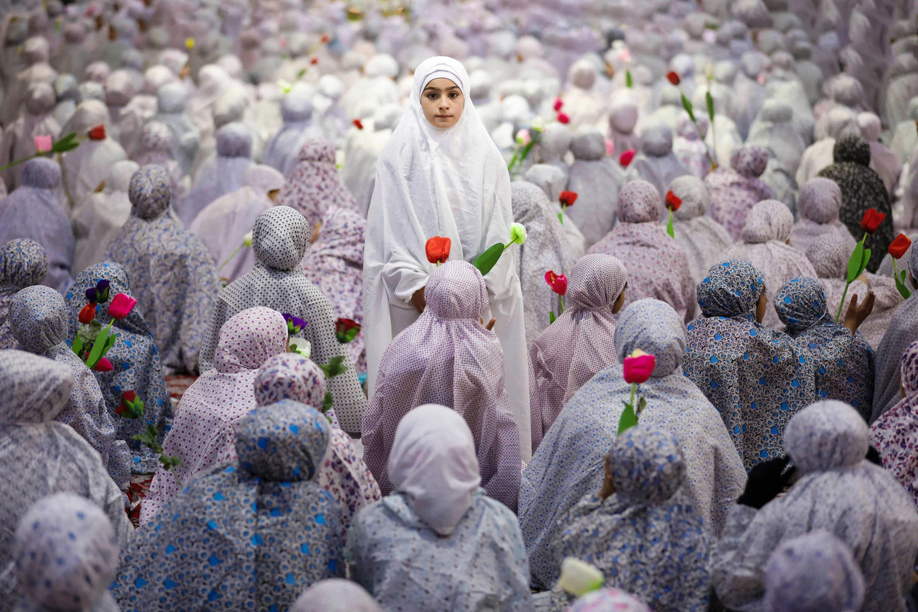 A picture of a girl looking at the camera while holding a white tulip flower in the middle of a sea of ​​women holding pink tulips at a ceremony called the legal obligation of the hijab, where they celebrate the girl wearing the hijab at the age of eight.
