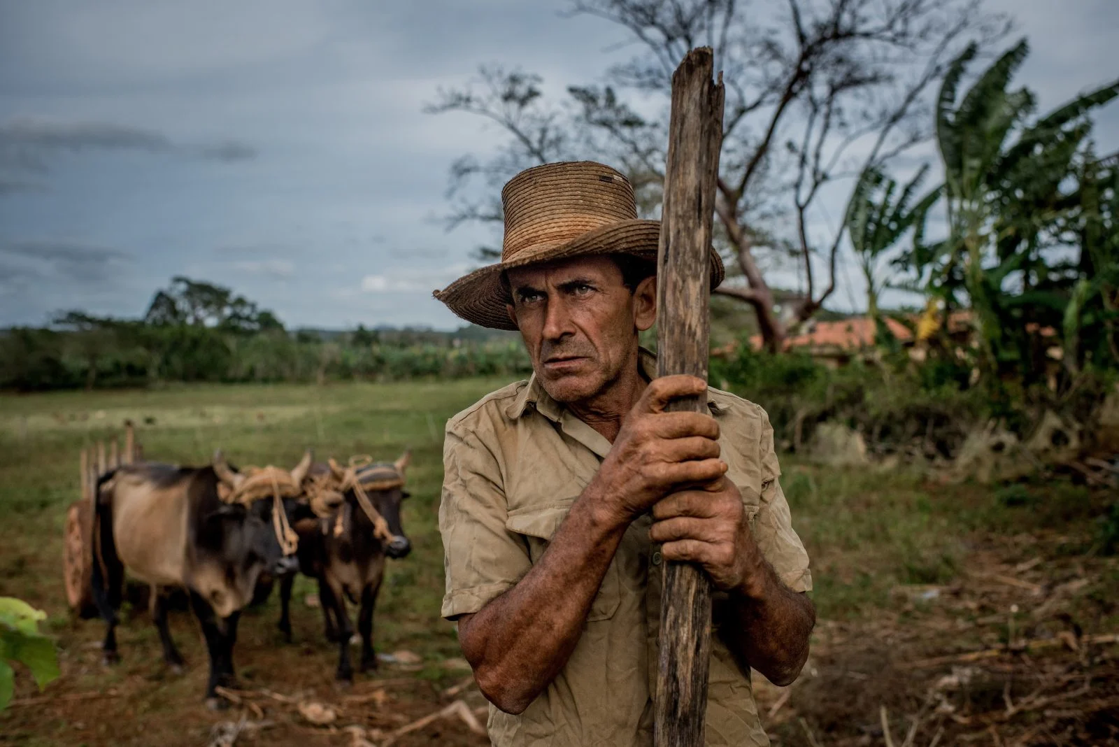 A farmer approached foreigners to offer them a tour on horseback in the countryside near Vinales, Cuba on January 25, 2016.
