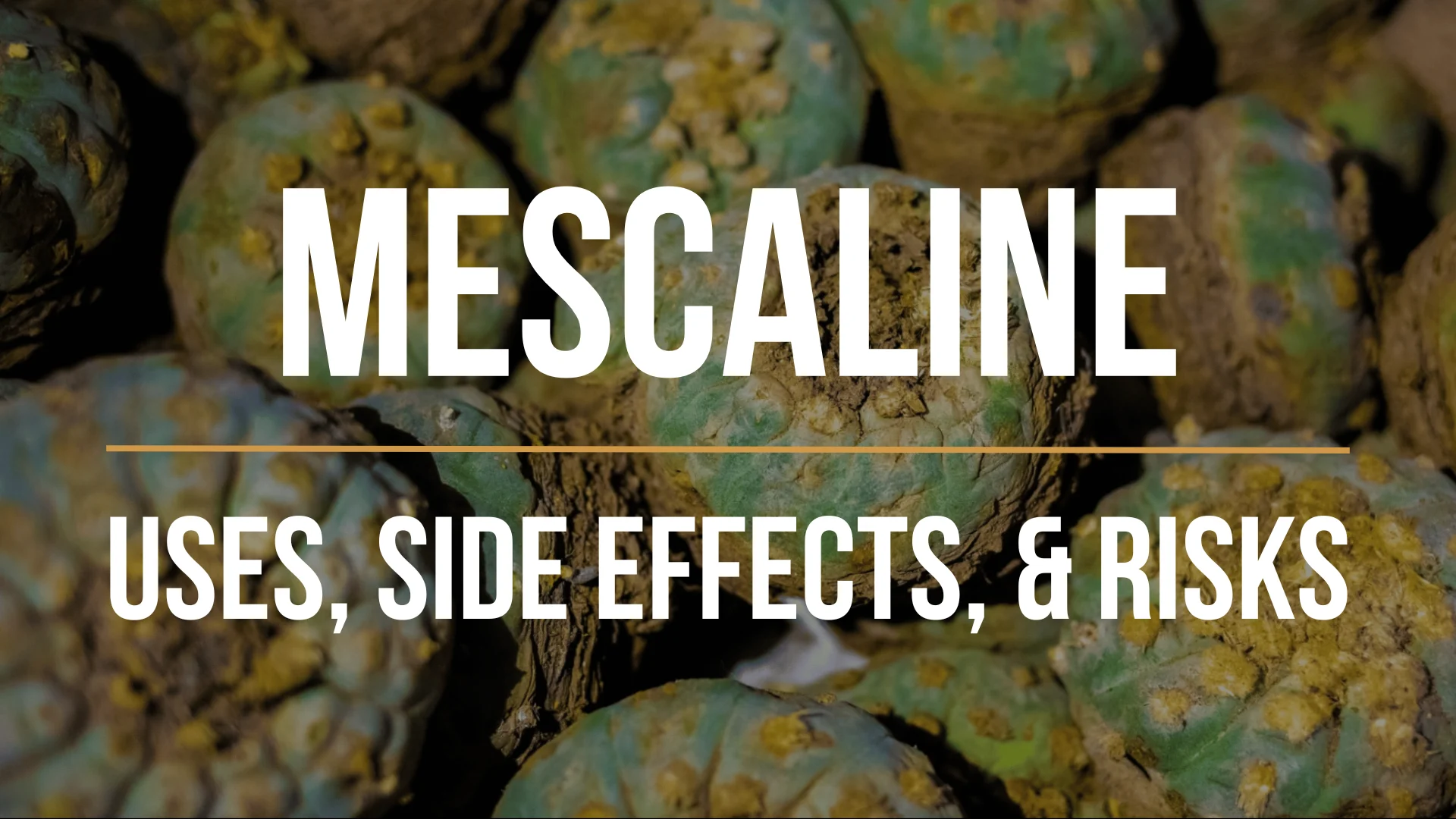 mescaline