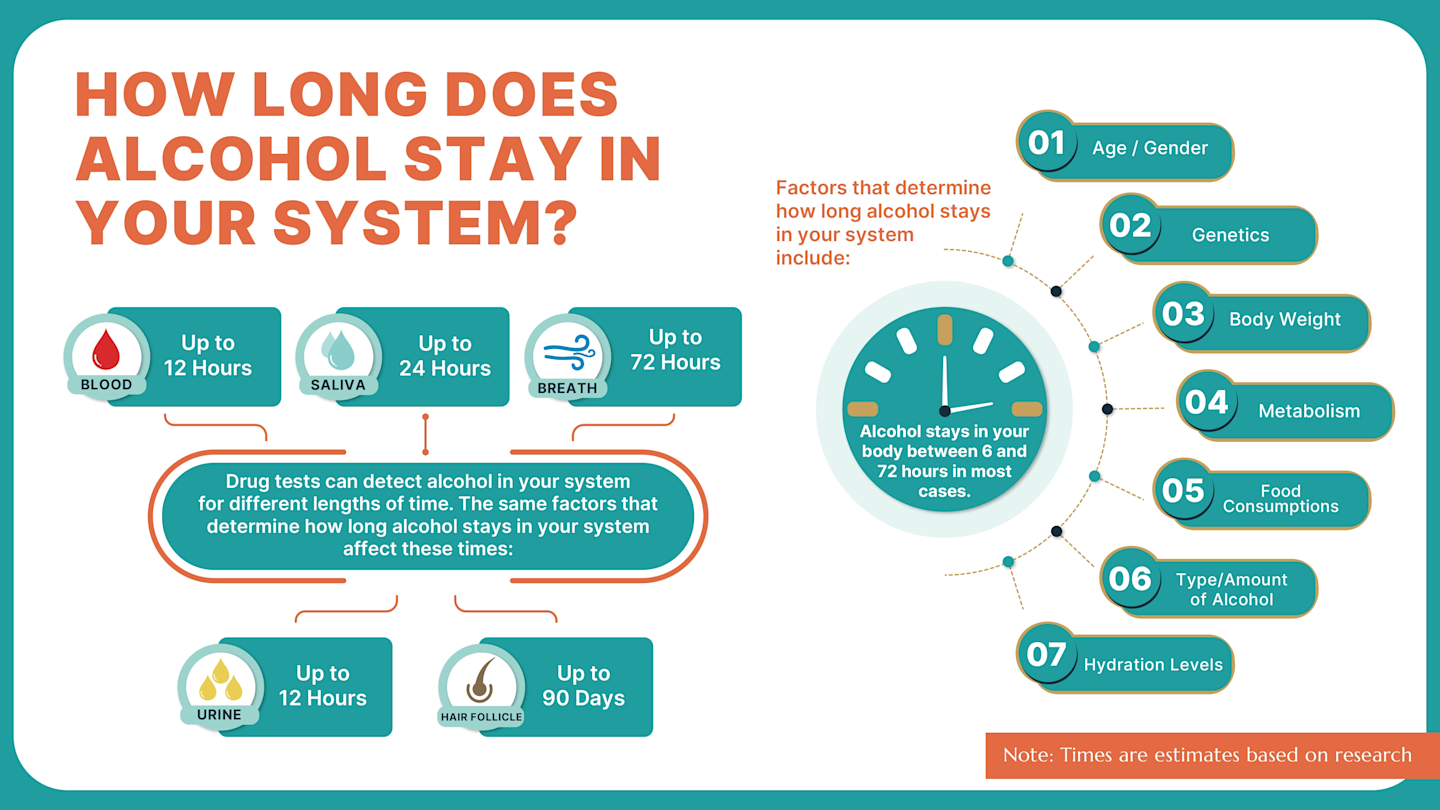 How Long Does Alcohol Stay in Your System?