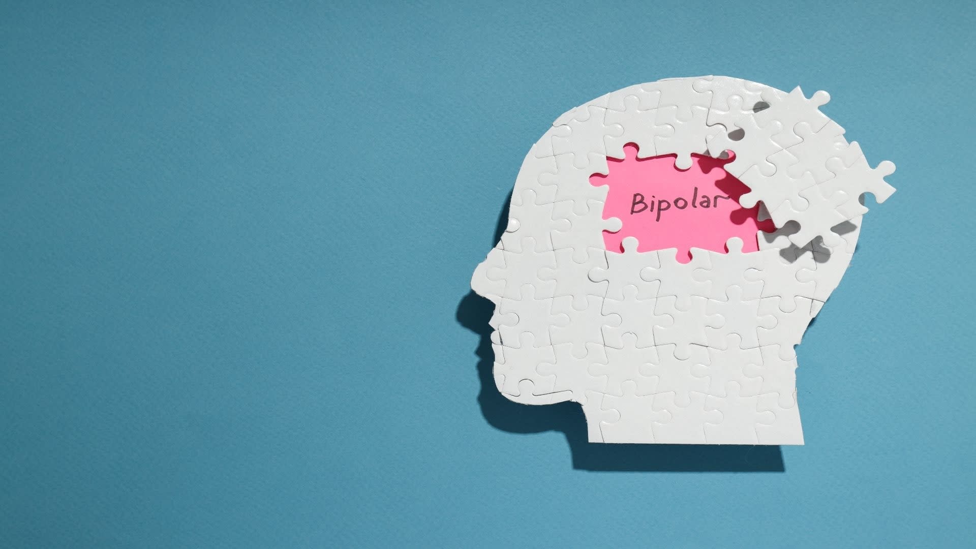 mental-disorder-bipolar-disorder-space-for-text-2023-11-27-04-51-53-utc