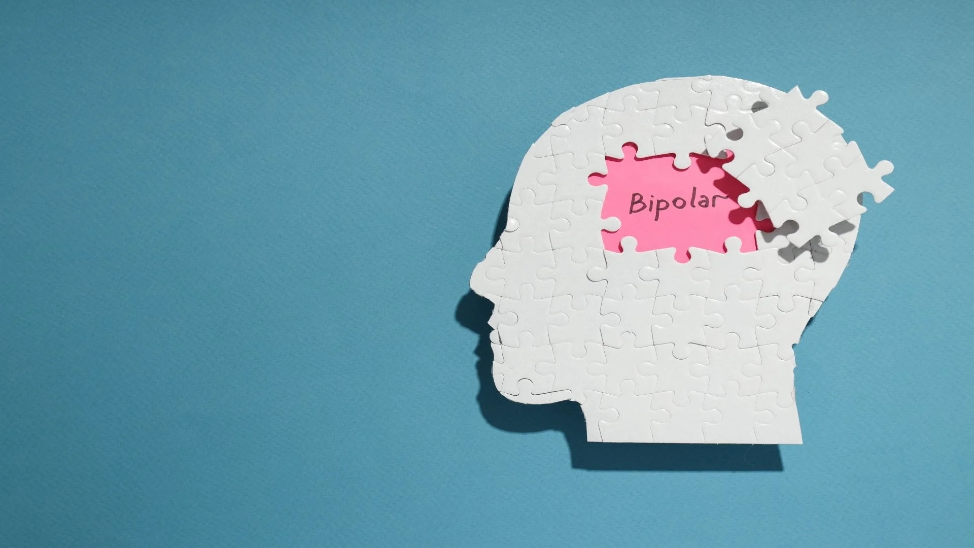 mental-disorder-bipolar-disorder-space-for-text-2023-11-27-04-51-53-utc