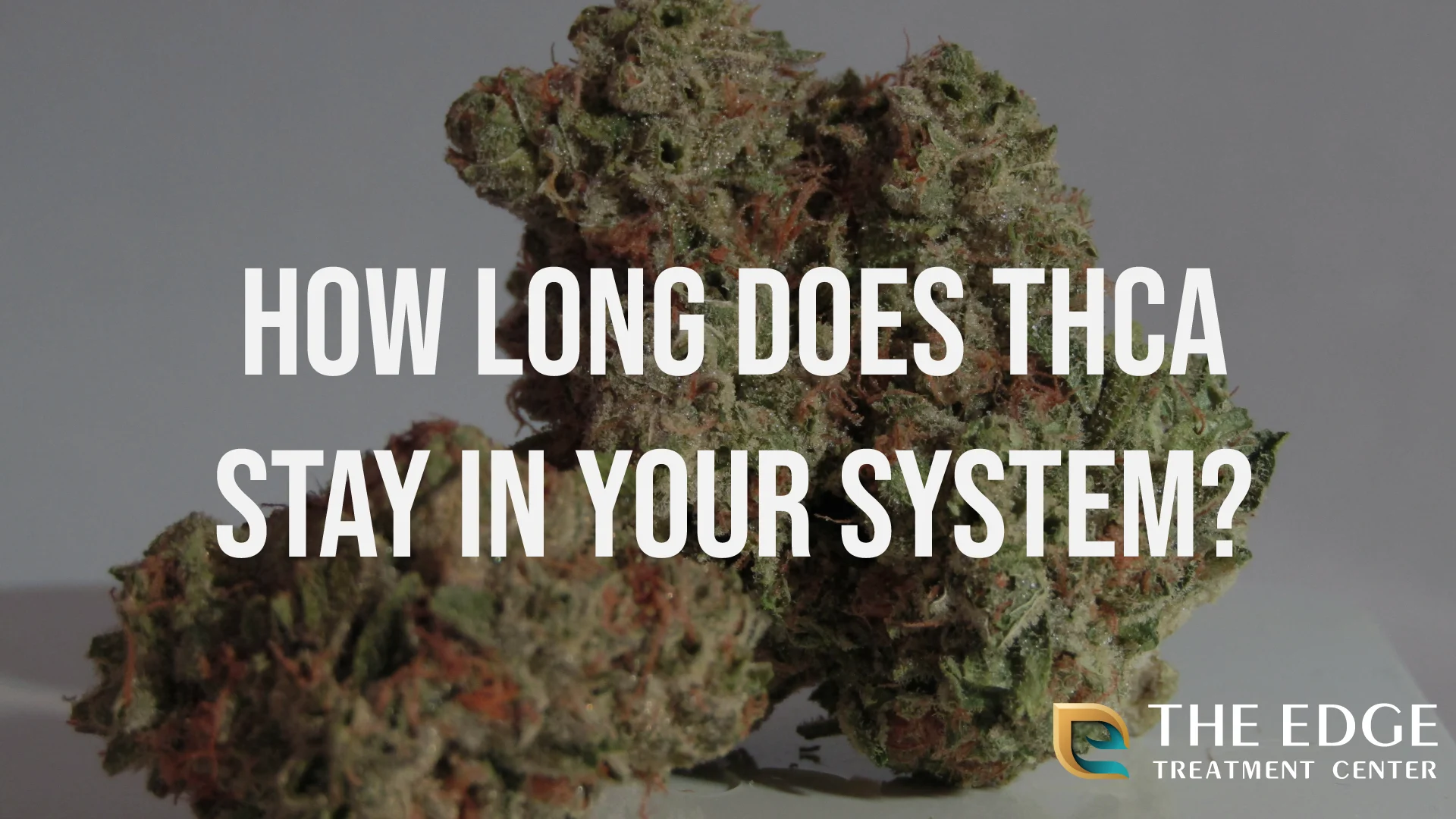 How Long Does THCA Stay in Your System?