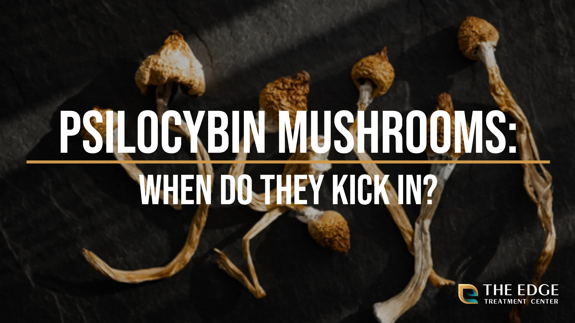 When Do Shrooms Kick In?