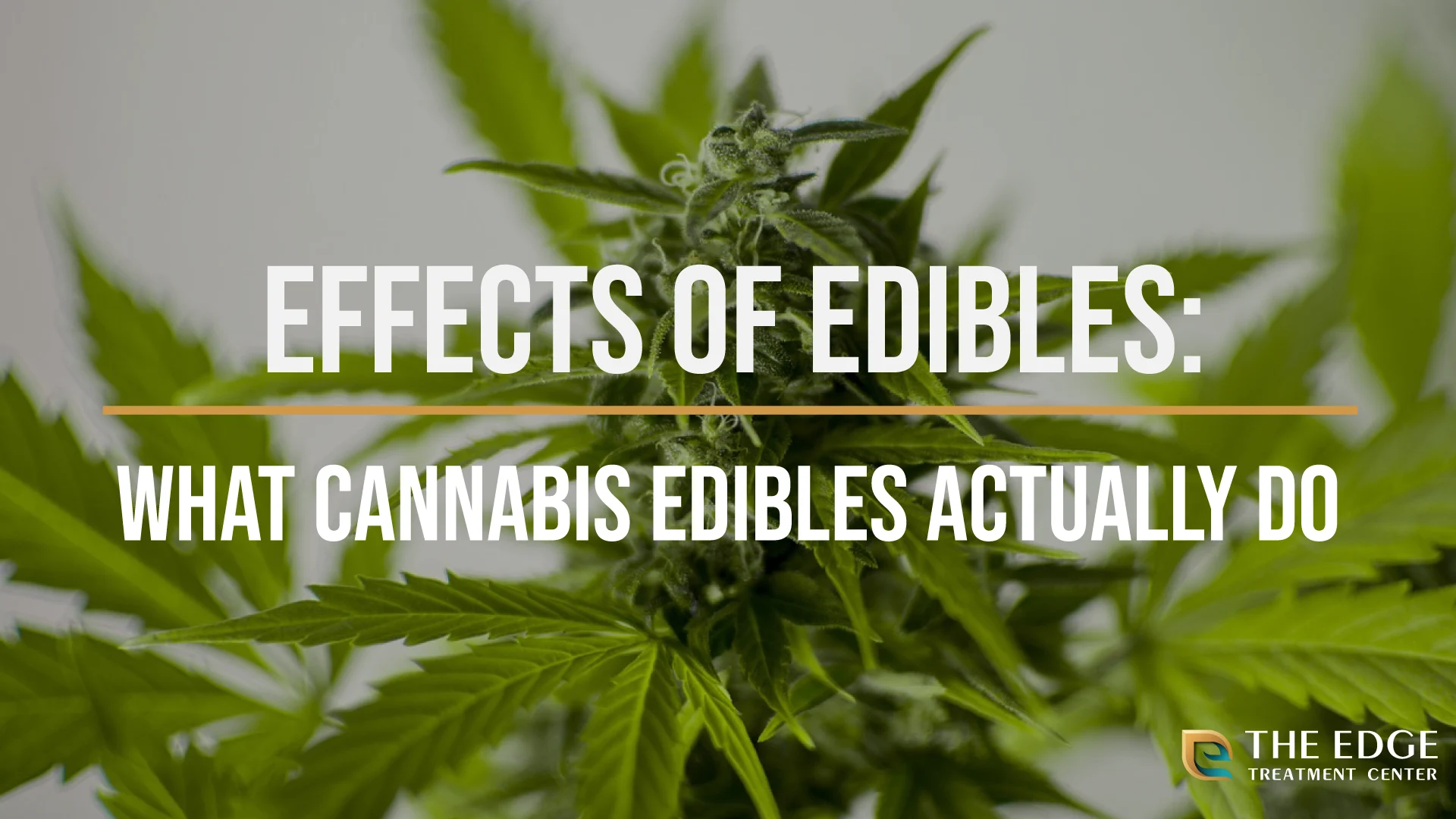 Effects of Edibles Effects of Edibles