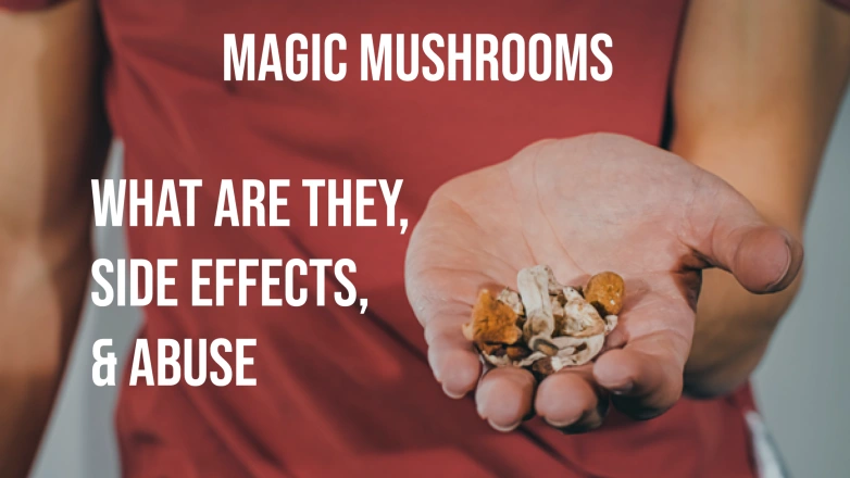 magic mushrooms effects