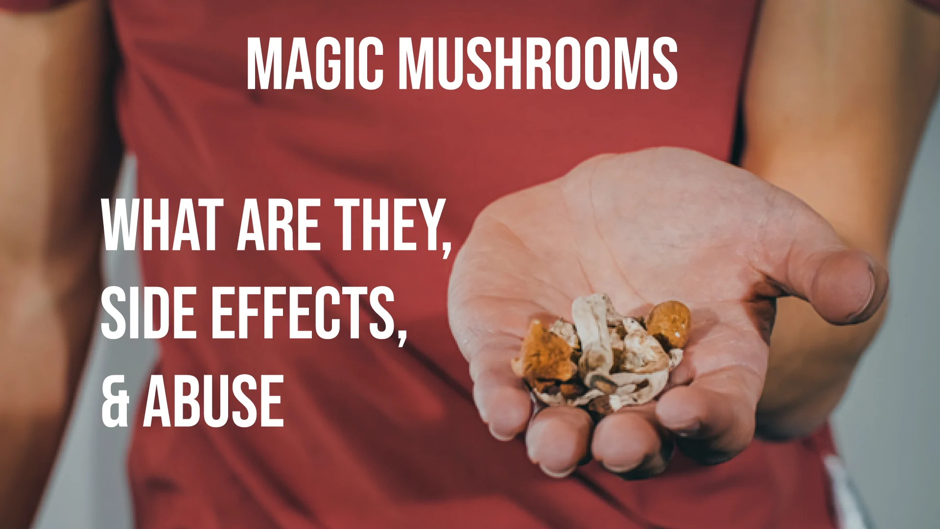 Magic Mushrooms: What are They, Side Effects, & Abuse Magic Mushrooms: What are They, Side Effects, & Abuse