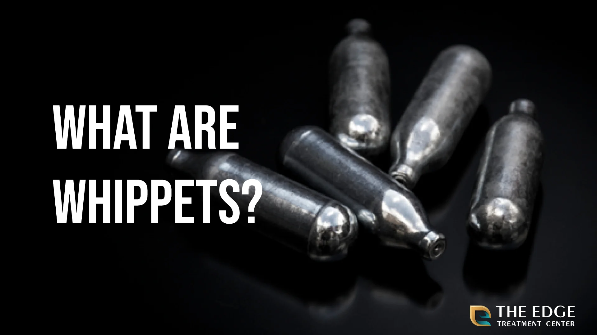 What Are Whippets? What Are Whippets?