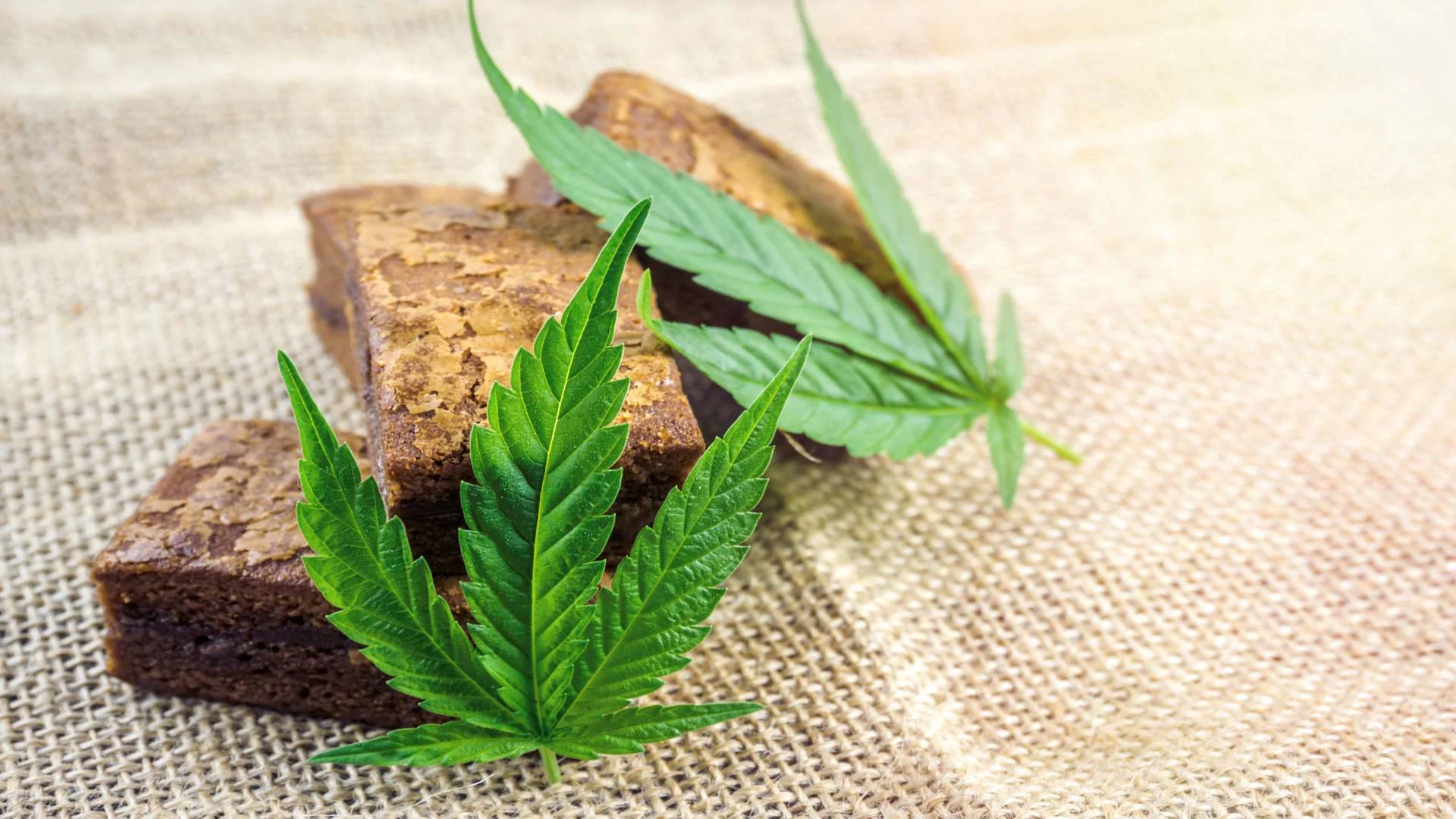 cannabis hash brownies on hemp cloth cbd infused