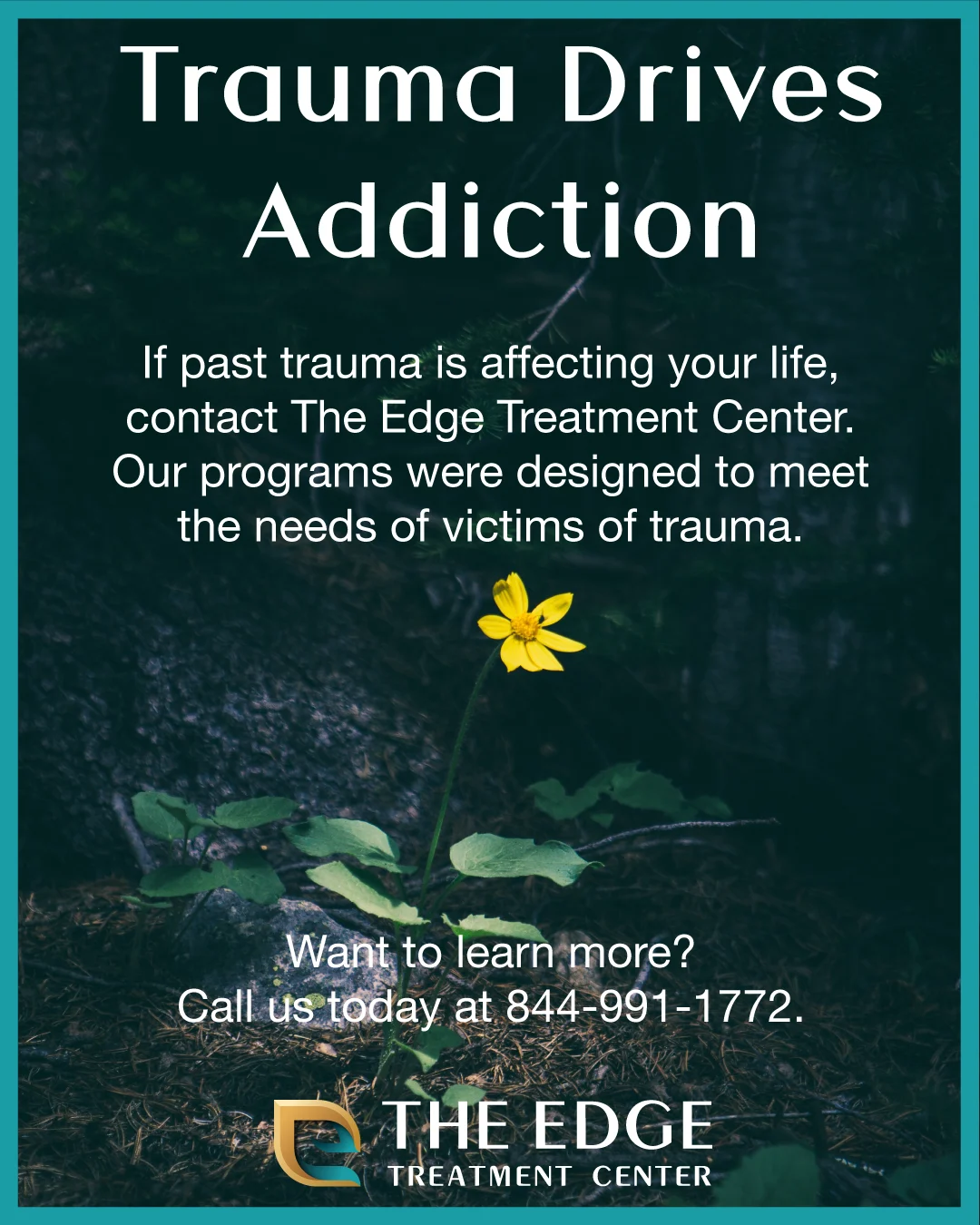 Get Treated for Trauma & Addiction at The Edge