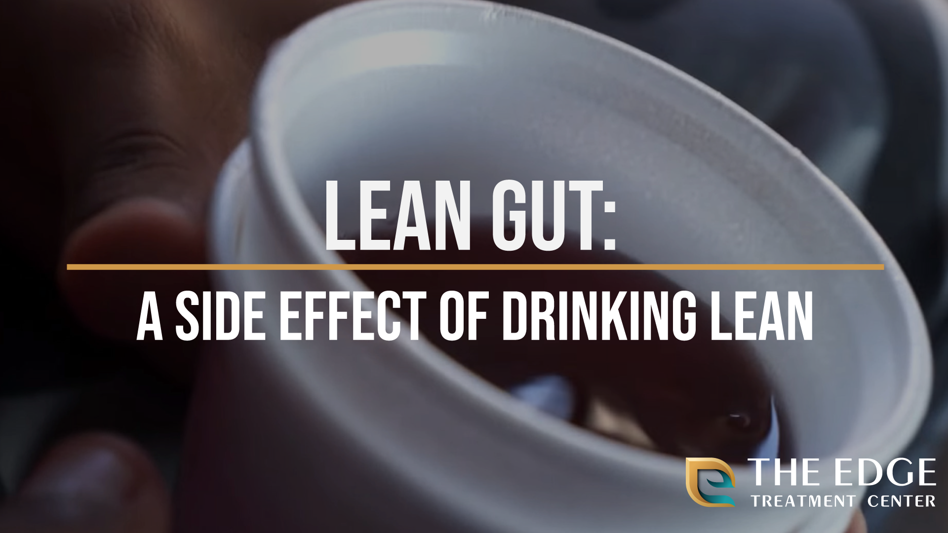 Lean Gut: What is it?