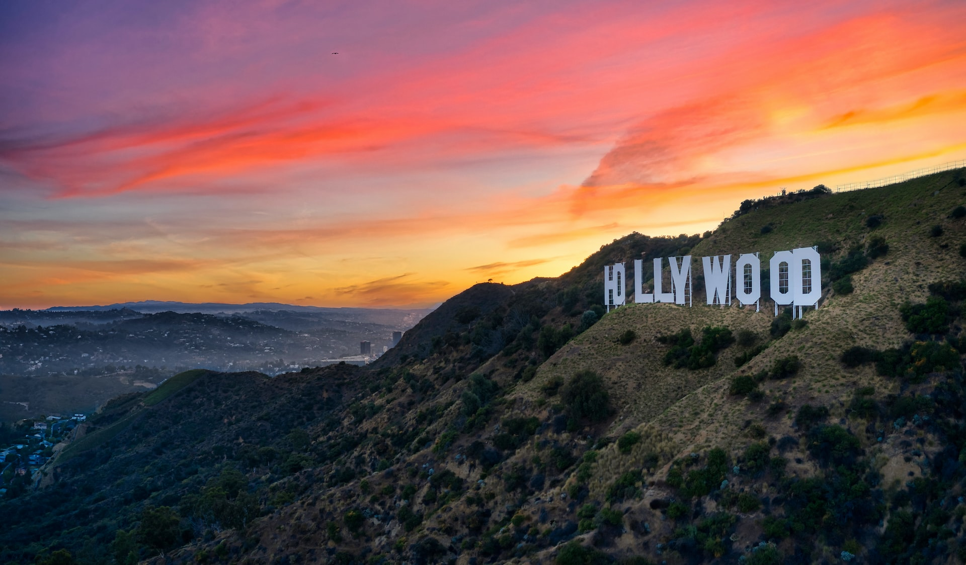 Celebrity Overdose: Addiction Doesn’t Discriminate
